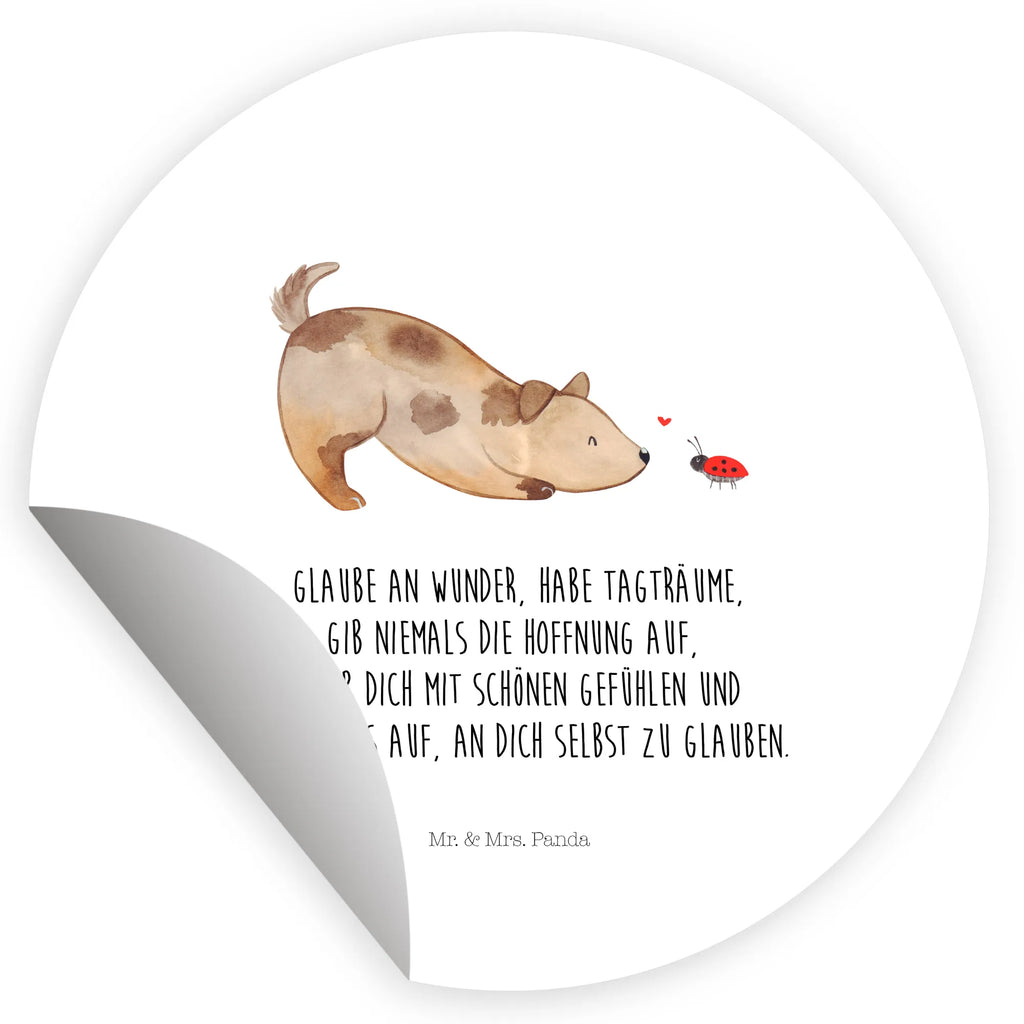 Round sticker Dog ladybug Kindergeburtstag, Runde Aufkleber Für Hochzeit, Blanko Rundaufkleber, Runde Aufkleber Groß, Rundes Klebeetikett, Runde Aufkleber Klein, Runde Aufkleber Für Kinderzimmer, Matte Runde Aufkleber, Runde Papieraufkleber, Runde Aufkleber Für Geschenke, Runde Klebepunkte, Runde Beschriftungsetiketten, Transparentes Rundetikett, Runde Stickerfolie, Runder Aufkleber, Runde Aufkleber Set, Runde Haftfolie, Rundes Siegel, Runde Etikettenrolle, UV-Beständiger Runder Sticker, Sammeln, Bedruckter Runder Aufkleber, Runde Aufkleber Für Verpackungen, Runde Aufkleber Für Flaschen, Runde Vinylaufkleber, Runder Sticker, Weißes Rundlabel, Glänzende Runde Aufkleber, Rundes Label, Runde Klebefolie, Selbstklebender Runder Aufkleber, Farbiger Runder Aufkleber, Rundes Etikett, Kreisrunder Aufkleber, Wasserfester Runder Aufkleber, Tierliebhaber, Haustier, Hund, Hundemotiv, Sprüche, Hunderasse, Hundebesitzer, Hundespruch, Hunde, Mischlinghund, Marienkäfer, Mischling