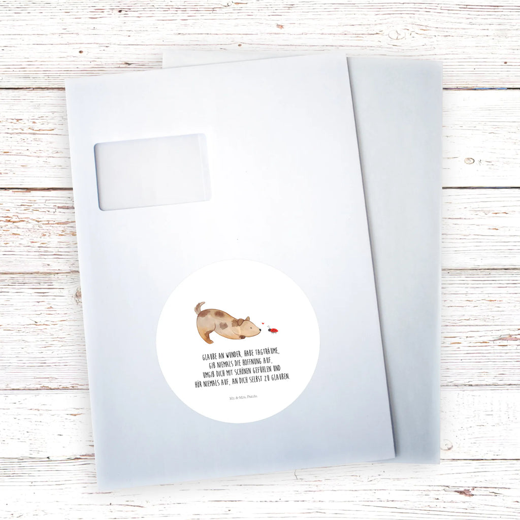 Round sticker Dog ladybug Kindergeburtstag, Runde Aufkleber Für Hochzeit, Blanko Rundaufkleber, Runde Aufkleber Groß, Rundes Klebeetikett, Runde Aufkleber Klein, Runde Aufkleber Für Kinderzimmer, Matte Runde Aufkleber, Runde Papieraufkleber, Runde Aufkleber Für Geschenke, Runde Klebepunkte, Runde Beschriftungsetiketten, Transparentes Rundetikett, Runde Stickerfolie, Runder Aufkleber, Runde Aufkleber Set, Runde Haftfolie, Rundes Siegel, Runde Etikettenrolle, UV-Beständiger Runder Sticker, Sammeln, Bedruckter Runder Aufkleber, Runde Aufkleber Für Verpackungen, Runde Aufkleber Für Flaschen, Runde Vinylaufkleber, Runder Sticker, Weißes Rundlabel, Glänzende Runde Aufkleber, Rundes Label, Runde Klebefolie, Selbstklebender Runder Aufkleber, Farbiger Runder Aufkleber, Rundes Etikett, Kreisrunder Aufkleber, Wasserfester Runder Aufkleber, Tierliebhaber, Haustier, Hund, Hundemotiv, Sprüche, Hunderasse, Hundebesitzer, Hundespruch, Hunde, Mischlinghund, Marienkäfer, Mischling