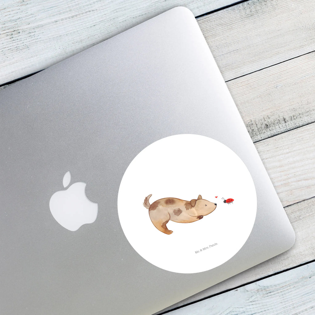 Round sticker Dog ladybug Kindergeburtstag, Runde Aufkleber Für Hochzeit, Blanko Rundaufkleber, Runde Aufkleber Groß, Rundes Klebeetikett, Runde Aufkleber Klein, Runde Aufkleber Für Kinderzimmer, Matte Runde Aufkleber, Runde Papieraufkleber, Runde Aufkleber Für Geschenke, Runde Klebepunkte, Runde Beschriftungsetiketten, Transparentes Rundetikett, Runde Stickerfolie, Runder Aufkleber, Runde Aufkleber Set, Runde Haftfolie, Rundes Siegel, Runde Etikettenrolle, UV-Beständiger Runder Sticker, Sammeln, Bedruckter Runder Aufkleber, Runde Aufkleber Für Verpackungen, Runde Aufkleber Für Flaschen, Runde Vinylaufkleber, Runder Sticker, Weißes Rundlabel, Glänzende Runde Aufkleber, Rundes Label, Runde Klebefolie, Selbstklebender Runder Aufkleber, Farbiger Runder Aufkleber, Rundes Etikett, Kreisrunder Aufkleber, Wasserfester Runder Aufkleber, Tierliebhaber, Haustier, Hund, Hundemotiv, Sprüche, Hunderasse, Hundebesitzer, Hundespruch, Hunde, Mischlinghund, Marienkäfer, Mischling