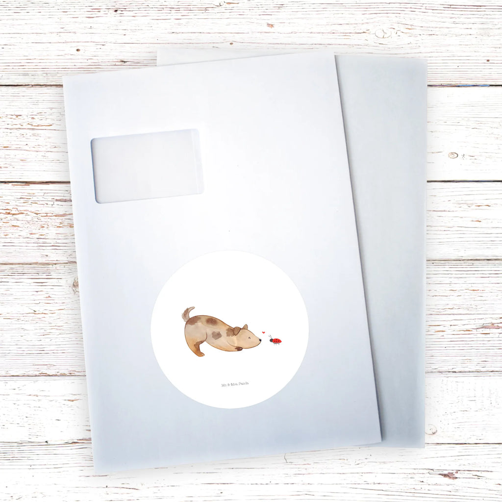 Round sticker Dog ladybug Kindergeburtstag, Runde Aufkleber Für Hochzeit, Blanko Rundaufkleber, Runde Aufkleber Groß, Rundes Klebeetikett, Runde Aufkleber Klein, Runde Aufkleber Für Kinderzimmer, Matte Runde Aufkleber, Runde Papieraufkleber, Runde Aufkleber Für Geschenke, Runde Klebepunkte, Runde Beschriftungsetiketten, Transparentes Rundetikett, Runde Stickerfolie, Runder Aufkleber, Runde Aufkleber Set, Runde Haftfolie, Rundes Siegel, Runde Etikettenrolle, UV-Beständiger Runder Sticker, Sammeln, Bedruckter Runder Aufkleber, Runde Aufkleber Für Verpackungen, Runde Aufkleber Für Flaschen, Runde Vinylaufkleber, Runder Sticker, Weißes Rundlabel, Glänzende Runde Aufkleber, Rundes Label, Runde Klebefolie, Selbstklebender Runder Aufkleber, Farbiger Runder Aufkleber, Rundes Etikett, Kreisrunder Aufkleber, Wasserfester Runder Aufkleber, Tierliebhaber, Haustier, Hund, Hundemotiv, Sprüche, Hunderasse, Hundebesitzer, Hundespruch, Hunde, Mischlinghund, Marienkäfer, Mischling