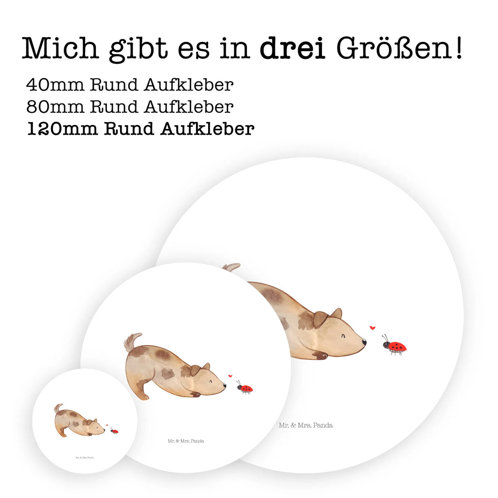 Round sticker Dog ladybug Kindergeburtstag, Runde Aufkleber Für Hochzeit, Blanko Rundaufkleber, Runde Aufkleber Groß, Rundes Klebeetikett, Runde Aufkleber Klein, Runde Aufkleber Für Kinderzimmer, Matte Runde Aufkleber, Runde Papieraufkleber, Runde Aufkleber Für Geschenke, Runde Klebepunkte, Runde Beschriftungsetiketten, Transparentes Rundetikett, Runde Stickerfolie, Runder Aufkleber, Runde Aufkleber Set, Runde Haftfolie, Rundes Siegel, Runde Etikettenrolle, UV-Beständiger Runder Sticker, Sammeln, Bedruckter Runder Aufkleber, Runde Aufkleber Für Verpackungen, Runde Aufkleber Für Flaschen, Runde Vinylaufkleber, Runder Sticker, Weißes Rundlabel, Glänzende Runde Aufkleber, Rundes Label, Runde Klebefolie, Selbstklebender Runder Aufkleber, Farbiger Runder Aufkleber, Rundes Etikett, Kreisrunder Aufkleber, Wasserfester Runder Aufkleber, Tierliebhaber, Haustier, Hund, Hundemotiv, Sprüche, Hunderasse, Hundebesitzer, Hundespruch, Hunde, Mischlinghund, Marienkäfer, Mischling