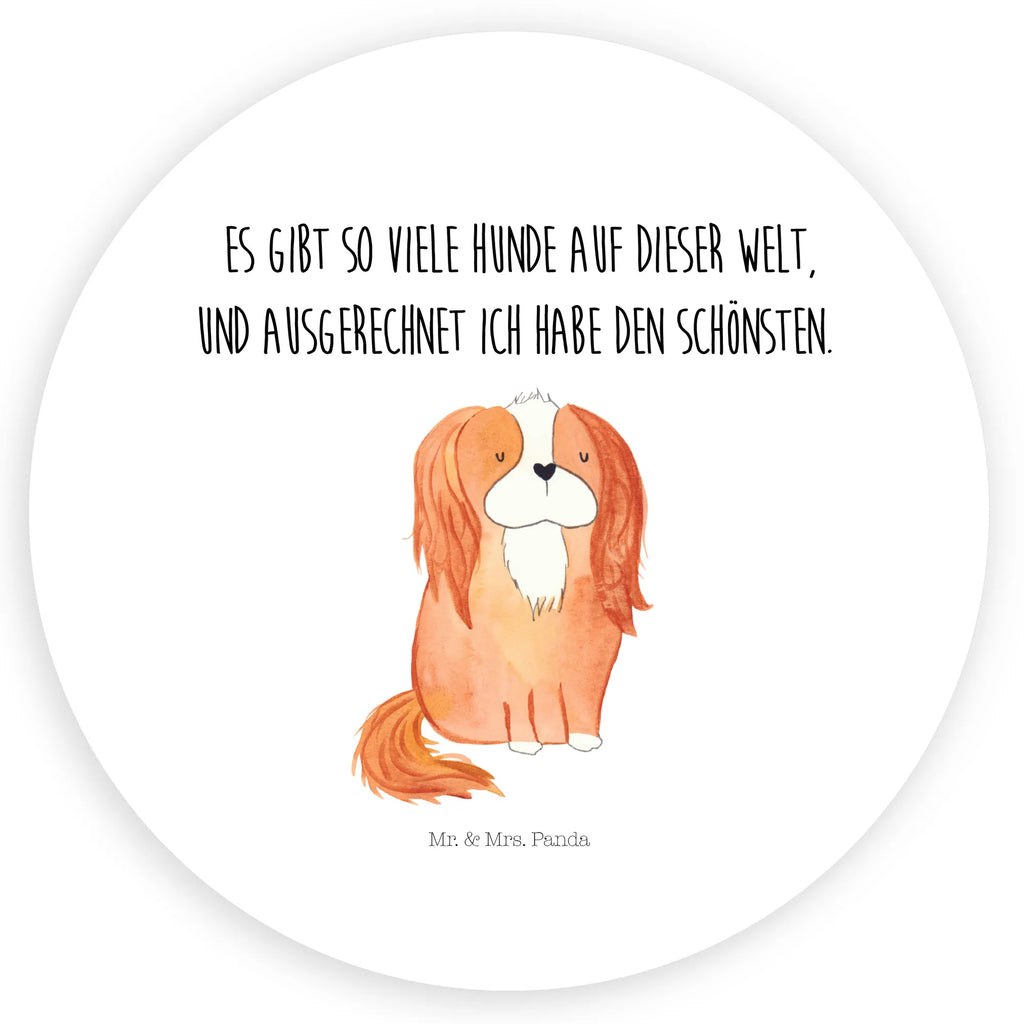 Rund Aufkleber Cavalier King Charles Spaniel Runde Klebefolie, Blanko Rundaufkleber, Glänzende Runde Aufkleber, Farbiger Runder Aufkleber, Runde Papieraufkleber, Runder Sticker, Weißes Rundlabel, Runde Stickerfolie, Runde Aufkleber Klein, Runder Aufkleber, UV-Beständiger Runder Sticker, Runde Vinylaufkleber, Matte Runde Aufkleber, Runde Klebepunkte, Runde Beschriftungsetiketten, Bedruckter Runder Aufkleber, Runde Aufkleber Set, Kreisrunder Aufkleber, Runde Aufkleber Für Hochzeit, Runde Aufkleber Für Geschenke, Runde Aufkleber Für Verpackungen, Runde Aufkleber Groß, Runde Haftfolie, Runde Etikettenrolle, Rundes Label, Transparentes Rundetikett, Wasserfester Runder Aufkleber, Kindergeburtstag, Rundes Klebeetikett, Selbstklebender Runder Aufkleber, Runde Aufkleber Für Kinderzimmer, Sammeln, Runde Aufkleber Für Flaschen, Rundes Etikett, Rundes Siegel, Tierliebhaber, Haustier, Hund, Hundemotiv, Sprüche, Hunderasse, Hundebesitzer, Cavalier King Charles Spaniel, Schönster Hund, Spaniel, Cockerspaniel, Spruch
