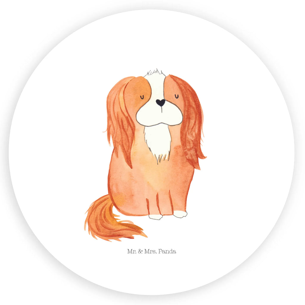 Rund Aufkleber Cavalier King Charles Spaniel Runde Klebefolie, Blanko Rundaufkleber, Glänzende Runde Aufkleber, Farbiger Runder Aufkleber, Runde Papieraufkleber, Runder Sticker, Weißes Rundlabel, Runde Stickerfolie, Runde Aufkleber Klein, Runder Aufkleber, UV-Beständiger Runder Sticker, Runde Vinylaufkleber, Matte Runde Aufkleber, Runde Klebepunkte, Runde Beschriftungsetiketten, Bedruckter Runder Aufkleber, Runde Aufkleber Set, Kreisrunder Aufkleber, Runde Aufkleber Für Hochzeit, Runde Aufkleber Für Geschenke, Runde Aufkleber Für Verpackungen, Runde Aufkleber Groß, Runde Haftfolie, Runde Etikettenrolle, Rundes Label, Transparentes Rundetikett, Wasserfester Runder Aufkleber, Kindergeburtstag, Rundes Klebeetikett, Selbstklebender Runder Aufkleber, Runde Aufkleber Für Kinderzimmer, Sammeln, Runde Aufkleber Für Flaschen, Rundes Etikett, Rundes Siegel, Tierliebhaber, Haustier, Hund, Hundemotiv, Sprüche, Hunderasse, Hundebesitzer, Cavalier King Charles Spaniel, Schönster Hund, Spaniel, Cockerspaniel, Spruch