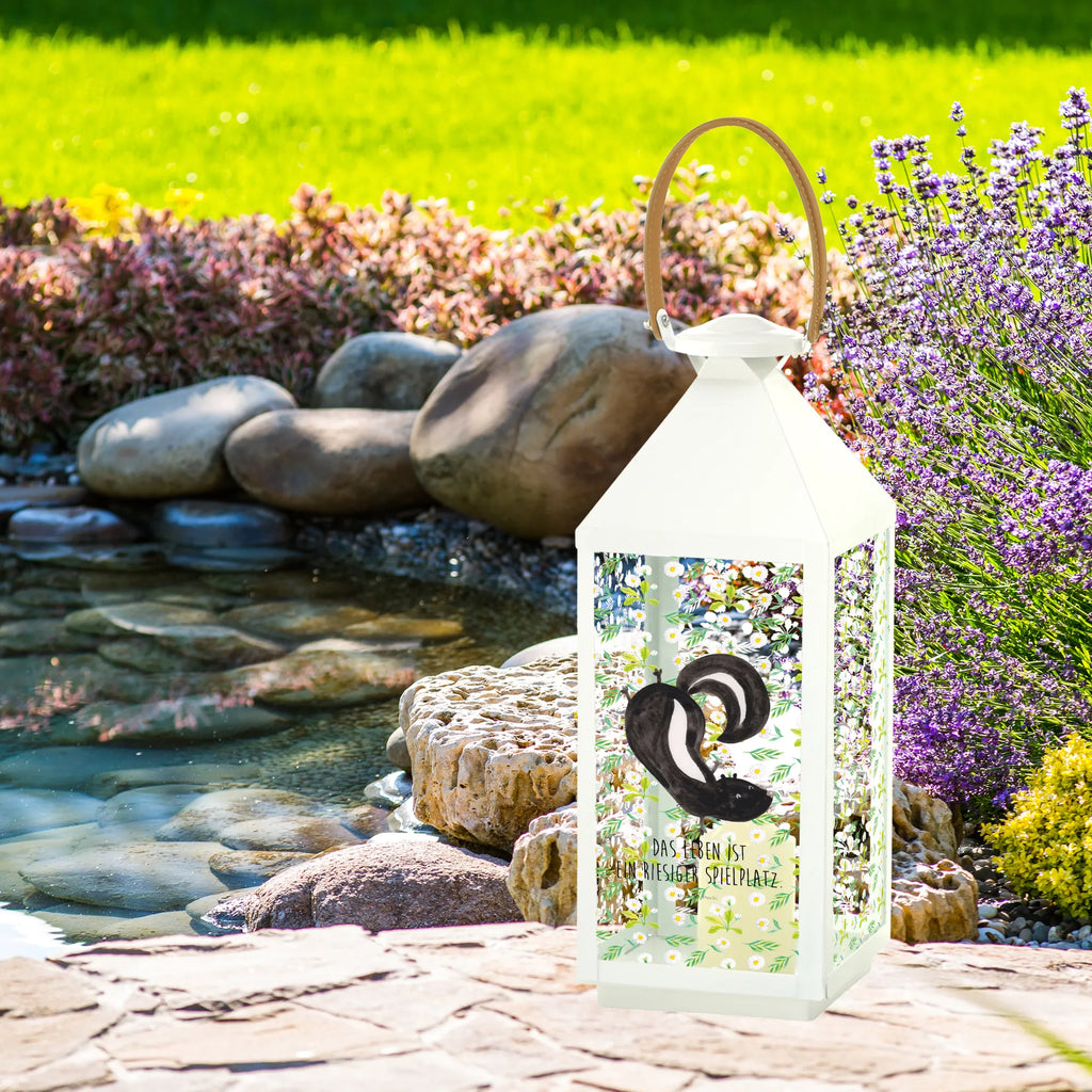 Decorative lantern skunk handstand Skunk, playful, skunk, stink, predator, child, playground, wild animal