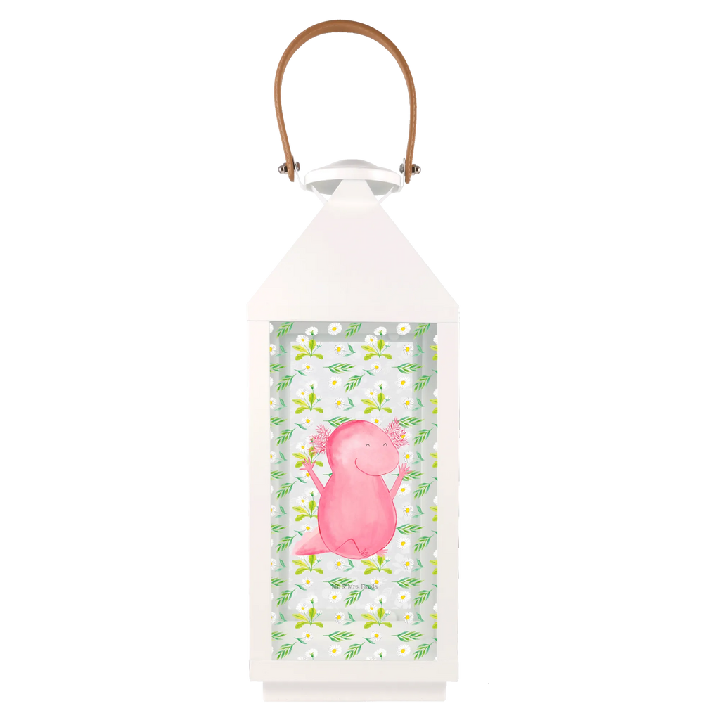 Decorative lantern axolotl Hooray Axolotl, Axelotl, marine animals, Mexican walking fish, salamander, cheerful, motivation, satisfaction, amphibian, fun, joy, axolot, axolotl, tail