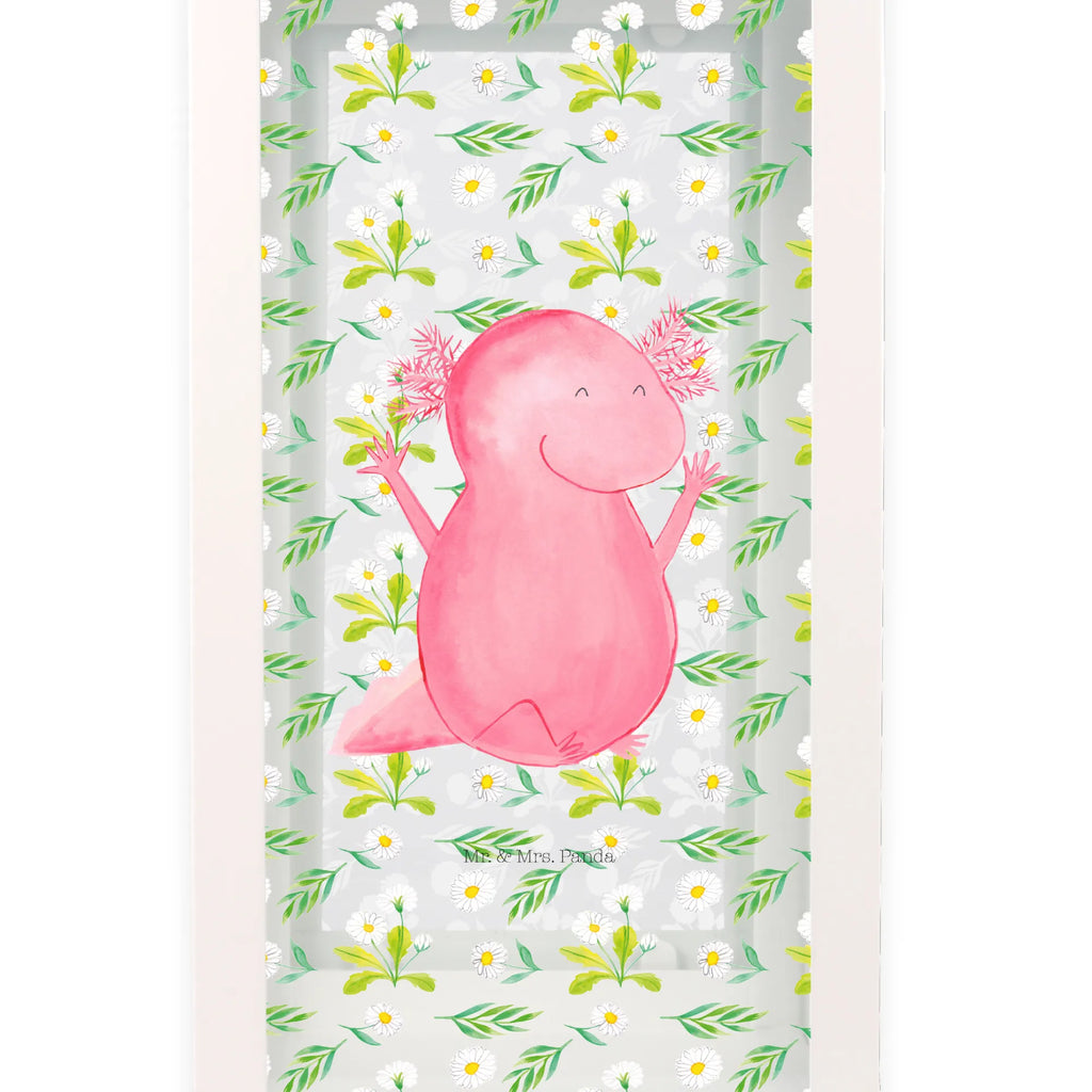 Decorative lantern axolotl Hooray Axolotl, Axelotl, marine animals, Mexican walking fish, salamander, cheerful, motivation, satisfaction, amphibian, fun, joy, axolot, axolotl, tail