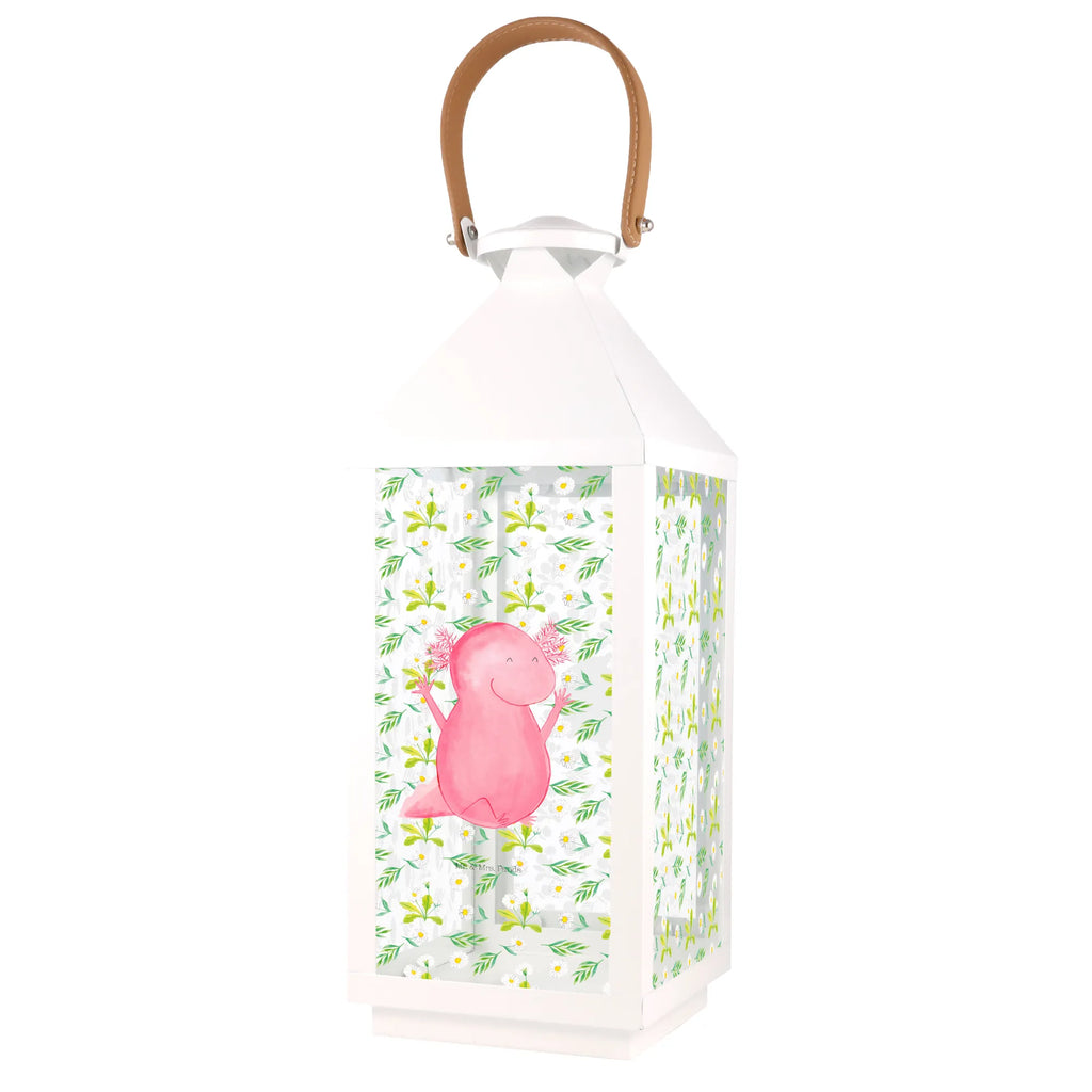 Decorative lantern axolotl Hooray Axolotl, Axelotl, marine animals, Mexican walking fish, salamander, cheerful, motivation, satisfaction, amphibian, fun, joy, axolot, axolotl, tail