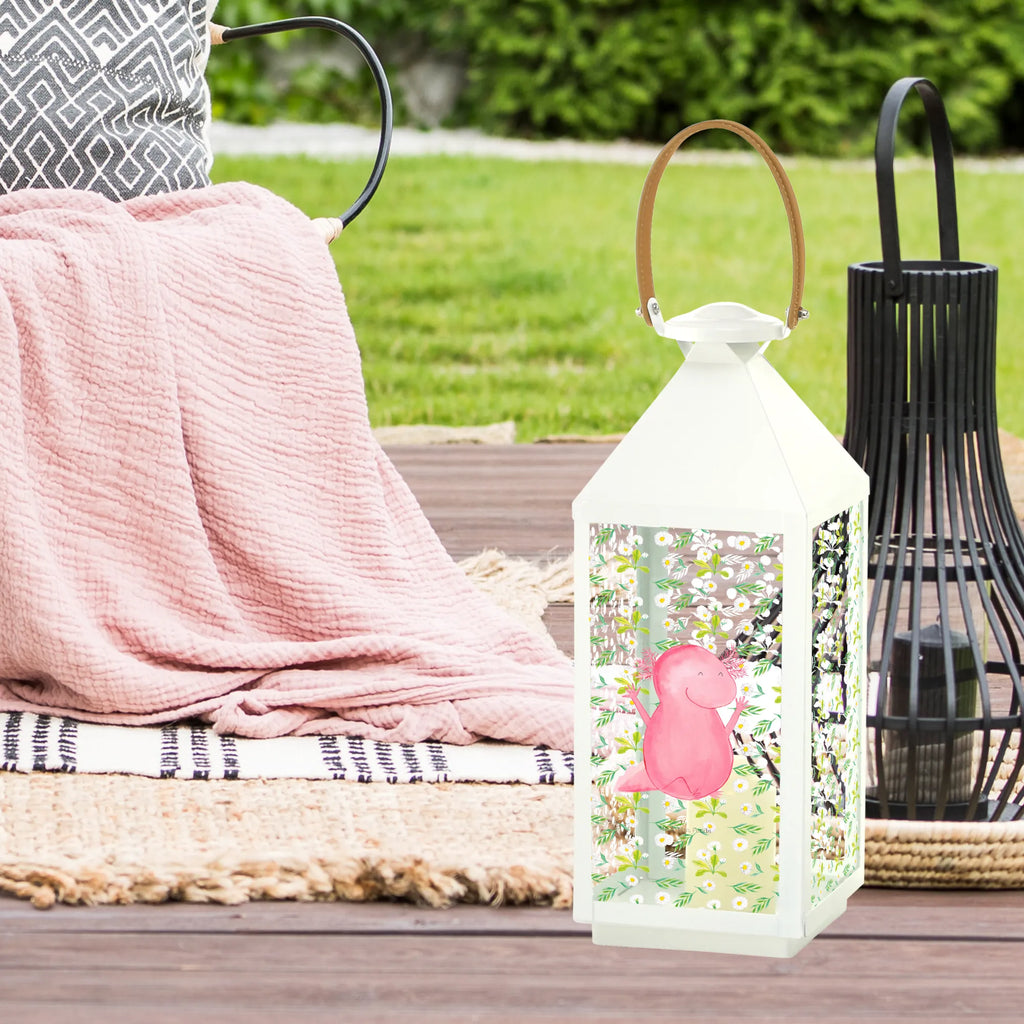 Decorative lantern axolotl Hooray Axolotl, Axelotl, marine animals, Mexican walking fish, salamander, cheerful, motivation, satisfaction, amphibian, fun, joy, axolot, axolotl, tail