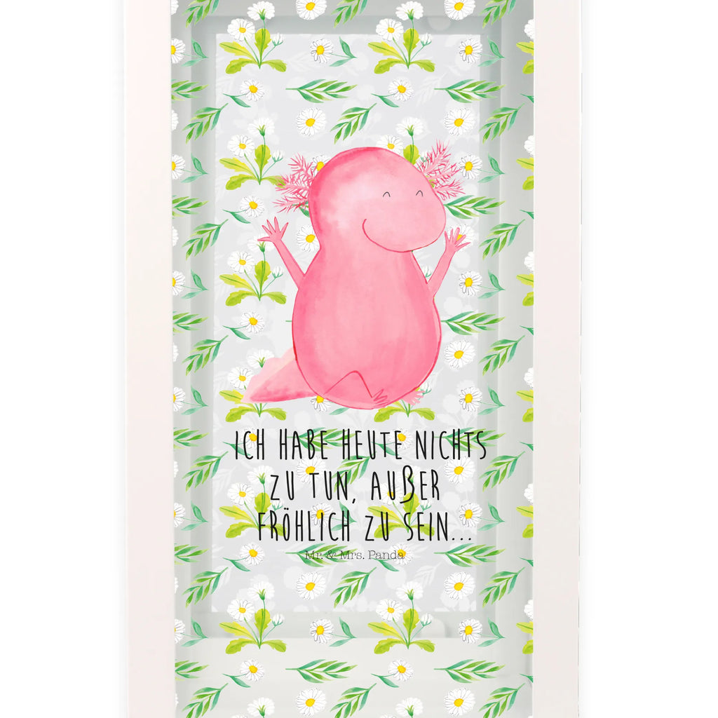 Decorative lantern axolotl Hooray Axolotl, Axelotl, marine animals, Mexican walking fish, salamander, cheerful, motivation, satisfaction, amphibian, fun, joy, axolot, axolotl, tail