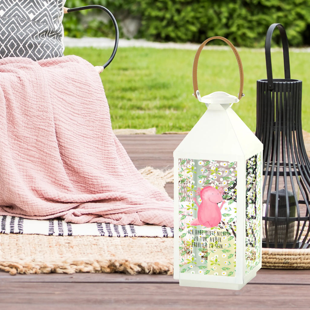 Decorative lantern axolotl Hooray Axolotl, Axelotl, marine animals, Mexican walking fish, salamander, cheerful, motivation, satisfaction, amphibian, fun, joy, axolot, axolotl, tail