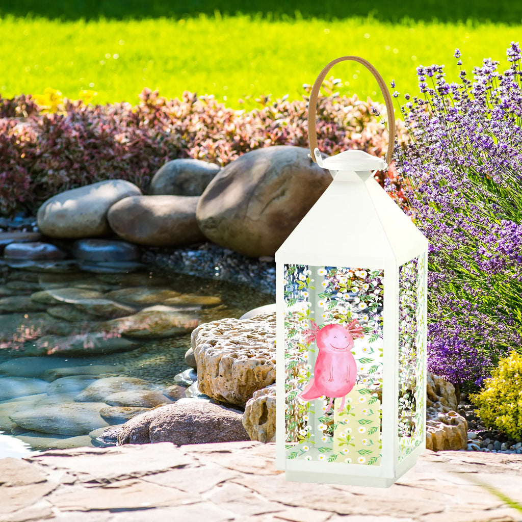Decorative lantern axolotl Happy Metalllaterne, Laterne Orientalisch, Laterne Mit Muster, Laterne Shabby Chic, Laterne Rustikal, Laterne Deko, Laterne Mit Blumenmotiv, Laterne Beleuchtet, Glaslaterne, Laterne Mit Griff, Laterne Skandinavisch, Teelichthalter Laterne, Laterne Mit Spiegelglas, Windlicht, Hängelaterne Deko, Holzlaterne, Laternenlicht, Laterne Spülmaschinenfest (Glas), Laterne Vintage, Lichterkettenlaterne, Laterne Maritim, Kerzenlaterne, Leuchten, Laterne Mit Sternenmuster, Terrasse-Laterne, LED-Laterne, Laterne XXL, Lichterlaterne, Metall Laterne, Hängeleuchte, Laterne Modern, Windlichtlaterne, Dekolaterne, Deko Laterne, Laterne Zum Stellen, Innenraum-Laterne, Laterne Zum Hängen, Laterne Wind- und Wetterfest, Laterne Weiß, Tischlaterne, Laterne Klein, Laternenwindlicht, Laternen-Set, Laterne Romantisch, Laterne Mit Motiv, Laterne Landhausstil, Laterne Minimalistisch, Laterne Pastellfarben, Laterne Klassisch, Outdoor-Laterne, Molch, Axolotl, Axolot, Motivation, Lurche, Lurch, Schwanzlurch, Gute Laune