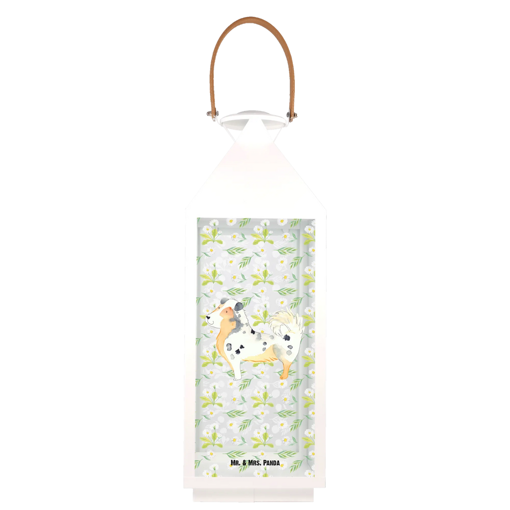 Deko Laterne Australien Shepherd Laterne Romantisch, Laterne Vintage, Laternenwindlicht, Laterne Klein, Windlichtlaterne, Laterne XXL, Tischlaterne, Kerzenlaterne, Terrasse-Laterne, Laterne Deko, Laterne Spülmaschinenfest (Glas), Laternenlicht, Laterne Mit Sternenmuster, Laterne Mit Blumenmotiv, Lichterlaterne, Laterne Modern, Laterne Rustikal, Laterne Skandinavisch, Teelichthalter Laterne, Laterne Pastellfarben, Gartenlaterne, Laterne Shabby Chic, Lichterkettenlaterne, Laterne Mit Motiv, Holzlaterne, Laterne Beleuchtet, Laterne Wind- und Wetterfest, Metalllaterne, Laterne Maritim, Hängelaterne Deko, Laterne Mit Spiegelglas, Outdoor-Laterne, Laterne Landhausstil, Laternen-Set, LED-Laterne, Glaslaterne, Laterne Minimalistisch, Laterne Zum Hängen, Laterne Klassisch, Laterne Mit Griff, Laterne Mit Muster, Dekolaterne, Innenraum-Laterne, Laterne Weiß, Laterne Zum Stellen, Deko Laterne, Laterne Orientalisch, Hund, Hundemotiv, Haustier, Hunderasse, Tierliebhaber, Hundebesitzer, Sprüche, Shepherd, Spruch, Familienhund, Australien Shepherd, Hundeliebe