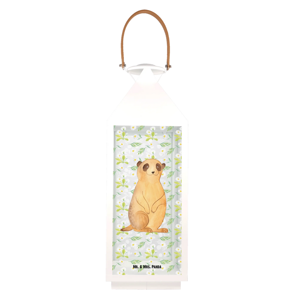 Decorative lantern Meerkat Africa, Traveling, Travel, Road trip, Meerkat, World trip, Saying, Africa trip