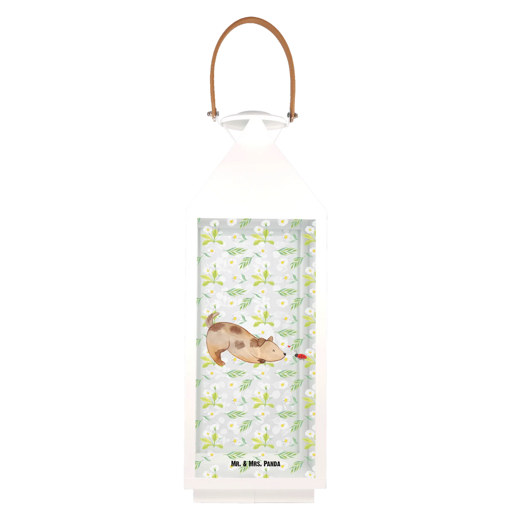 Deko Laterne Hund Marienkäfer Hängeleuchte, Outdoor-Laterne, Laterne Zum Stellen, Hängelaterne Deko, Metalllaterne, Laterne Klein, Kerzenlaterne, Leuchten, Laterne Vintage, Laterne XXL, Laterne Beleuchtet, Terrasse-Laterne, Laternenwindlicht, Laterne Weiß, Holzlaterne, Laterne Mit Spiegelglas, Laterne Modern, Glaslaterne, Laterne Klassisch, Teelichthalter Laterne, Laterne Wind- und Wetterfest, Laterne Mit Blumenmotiv, Laterne Landhausstil, Innenraum-Laterne, Laterne Minimalistisch, Laterne Skandinavisch, Laterne Deko, Windlichtlaterne, Laterne Mit Griff, Laterne Spülmaschinenfest (Glas), Laterne Mit Motiv, Laterne Shabby Chic, Dekolaterne, Laterne Maritim, Metall Laterne, Laterne Rustikal, Laterne Mit Sternenmuster, Lichterlaterne, Laternen-Set, LED-Laterne, Laterne Romantisch, Deko Laterne, Laterne Pastellfarben, Laterne Zum Hängen, Laterne Mit Muster, Laternenlicht, Laterne Orientalisch, Tischlaterne, Lichterkettenlaterne, Windlicht, Sprüche, Hund, Hunderasse, Hundebesitzer, Hundemotiv, Haustier, Tierliebhaber, Mischling, Hundespruch, Mischlinghund, Hunde, Marienkäfer