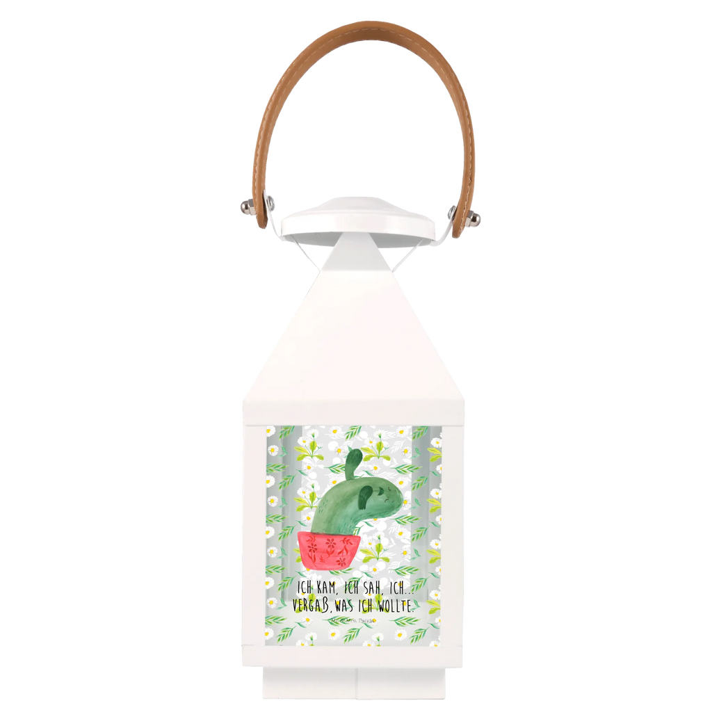 Decorative lantern cactus mummy cactus, cactuses, plants, cactus plant, small green cactus, cactus love, annoyance, school, motivation, quota, office, office life, cacti