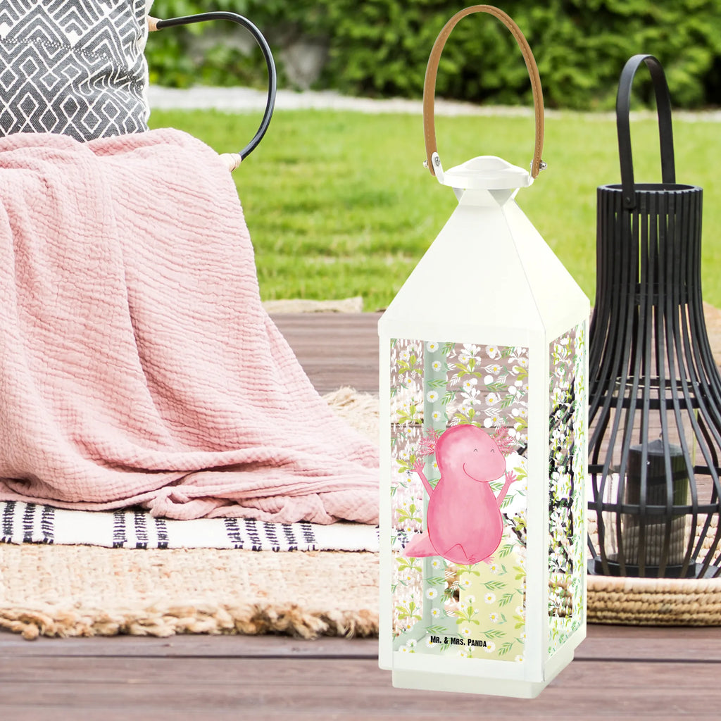 Decorative lantern axolotl Hooray Axolotl, Axelotl, marine animals, Mexican walking fish, salamander, cheerful, motivation, satisfaction, amphibian, fun, joy, axolot, axolotl, tail