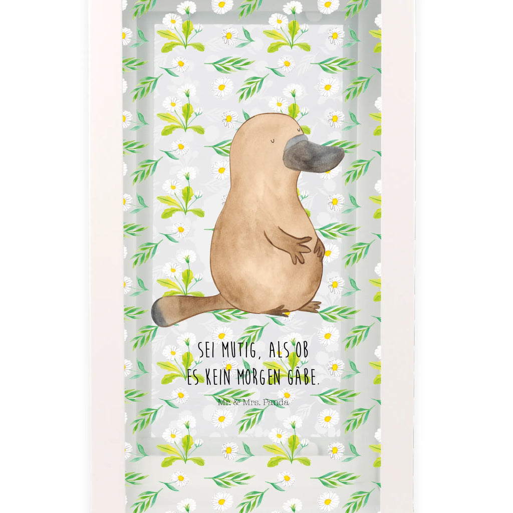 Dekoracyjna latarnia dziobak Odwaga Zwierzeta morskie, Morze, Wakacje