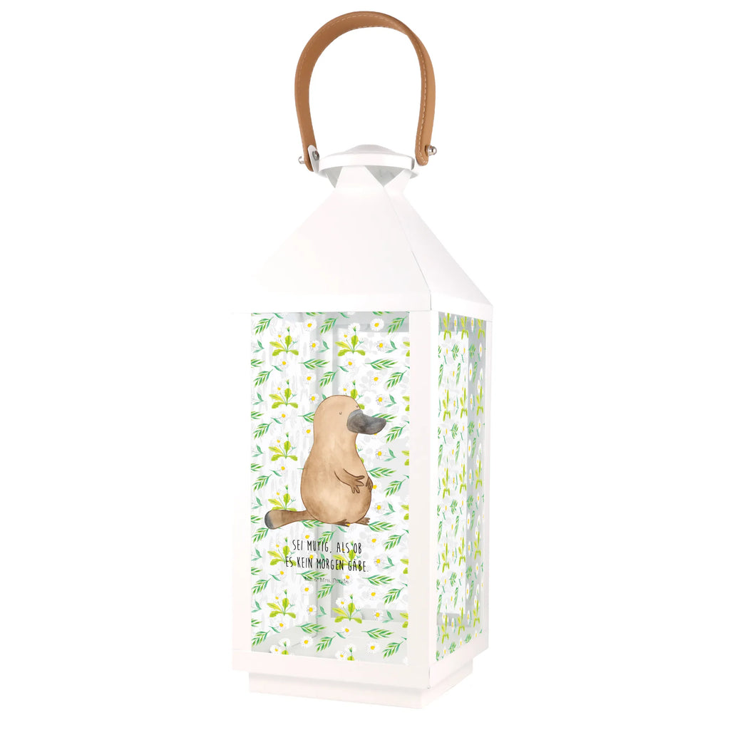 Dekoracyjna latarnia dziobak Odwaga Zwierzeta morskie, Morze, Wakacje