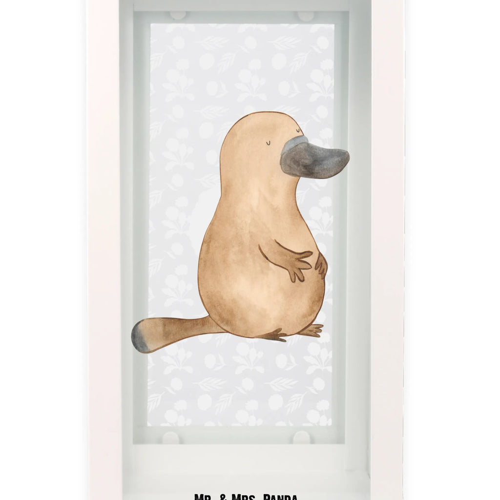 Dekoracyjna latarnia dziobak Odwaga Zwierzeta morskie, Morze, Wakacje