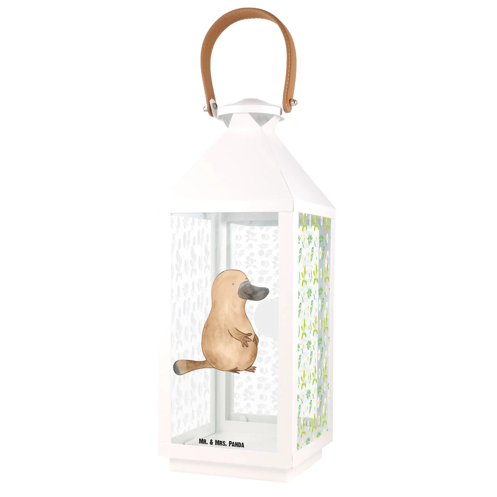 Dekoracyjna latarnia dziobak Odwaga Zwierzeta morskie, Morze, Wakacje