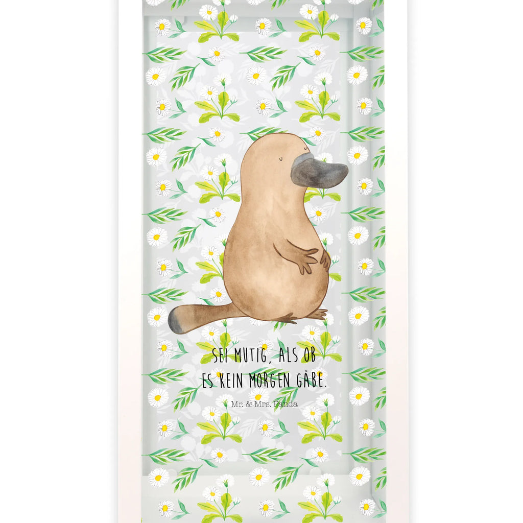 Dekoracyjna latarnia dziobak Odwaga Zwierzeta morskie, Morze, Wakacje