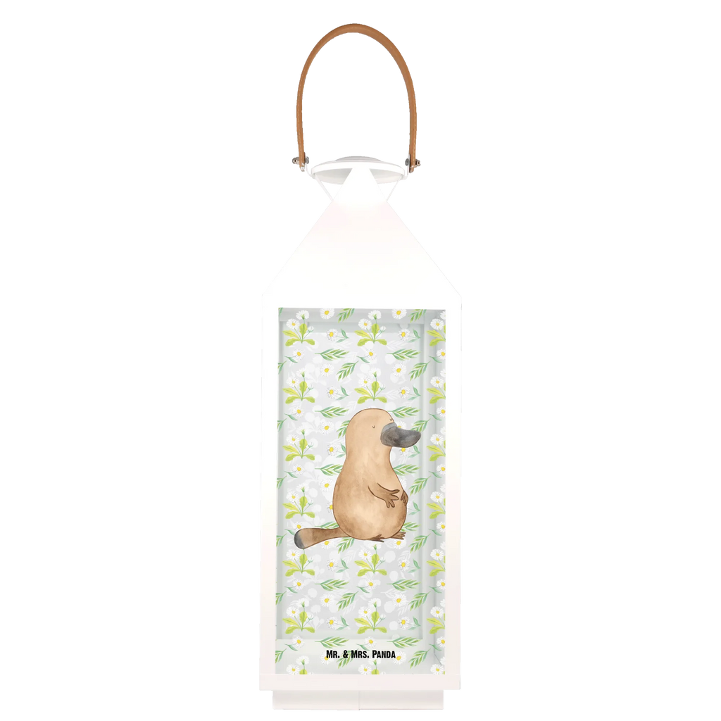 Dekoracyjna latarnia dziobak Odwaga Zwierzeta morskie, Morze, Wakacje