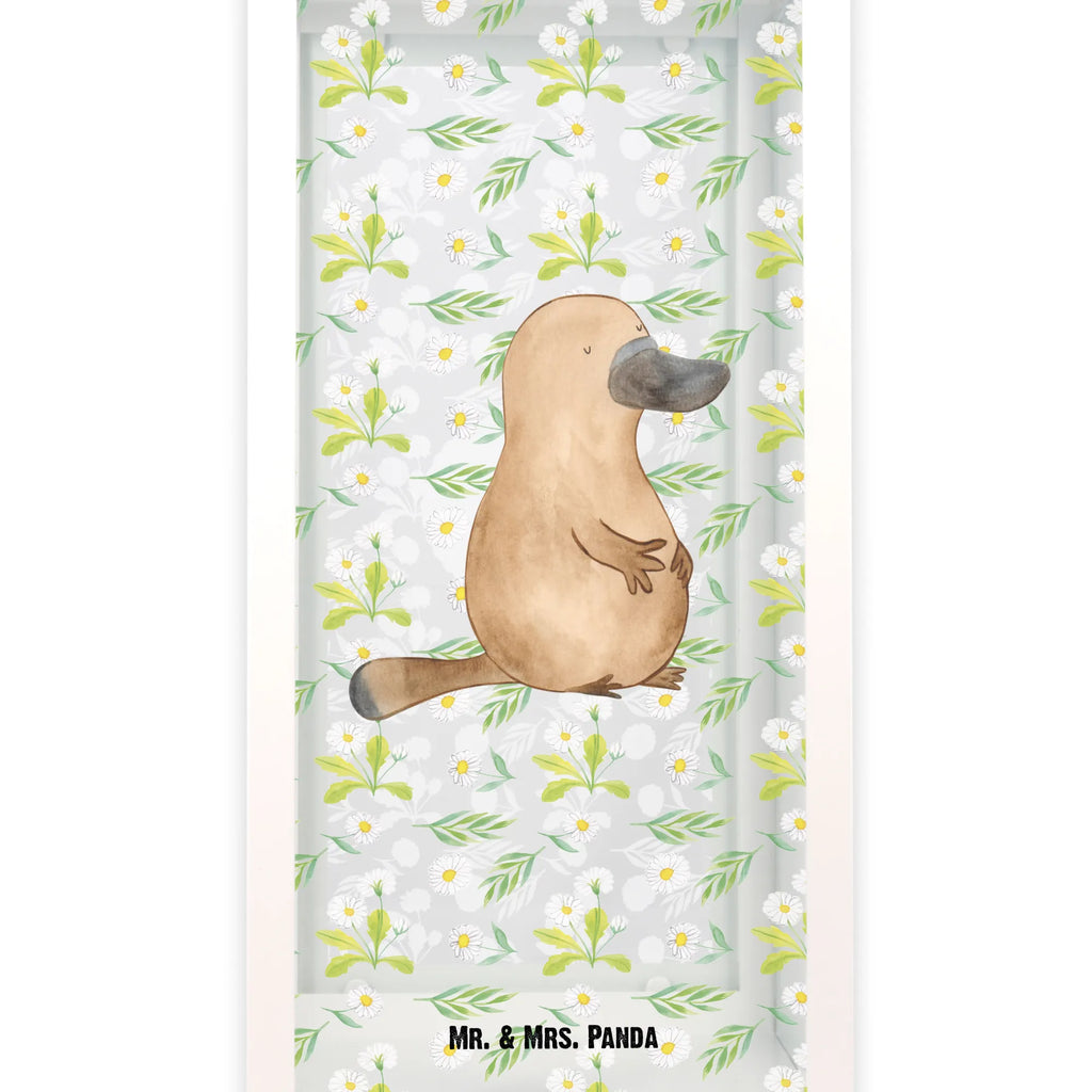 Dekoracyjna latarnia dziobak Odwaga Zwierzeta morskie, Morze, Wakacje