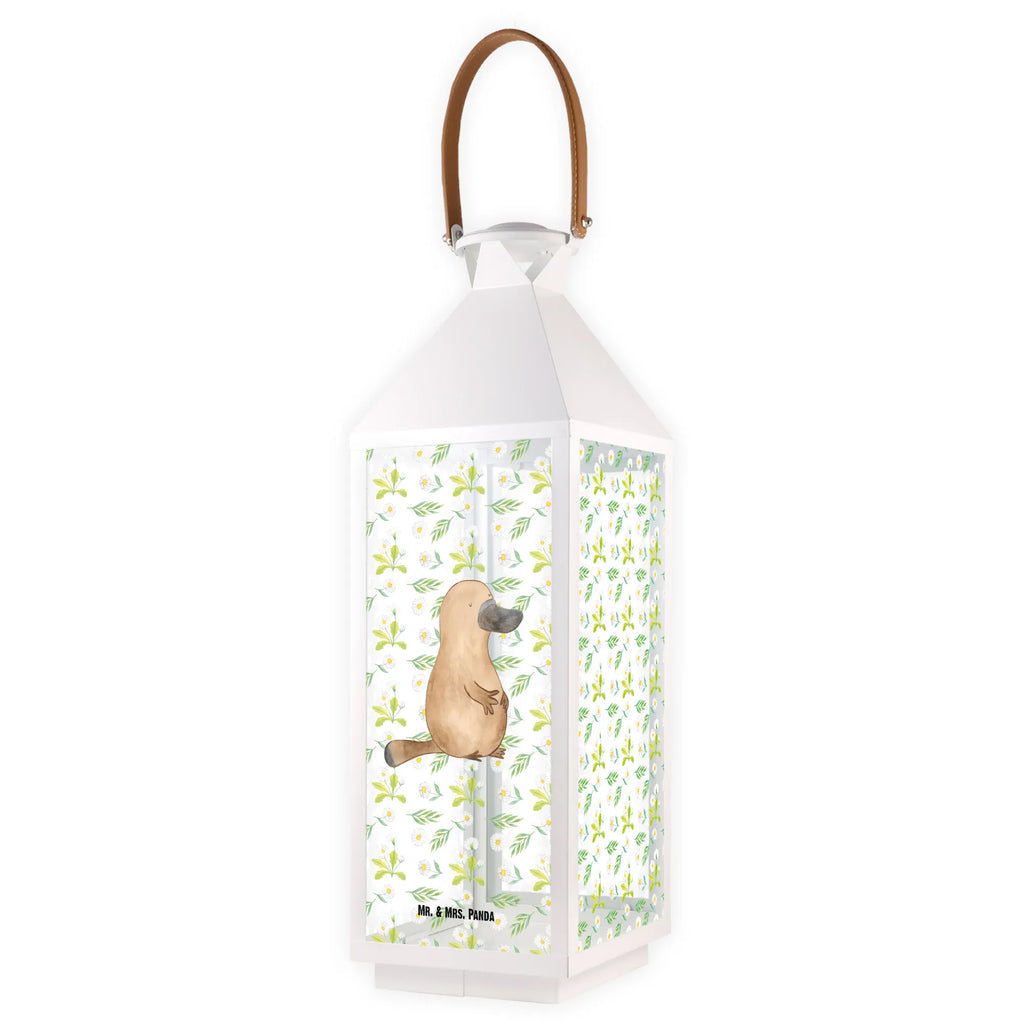 Dekoracyjna latarnia dziobak Odwaga Zwierzeta morskie, Morze, Wakacje