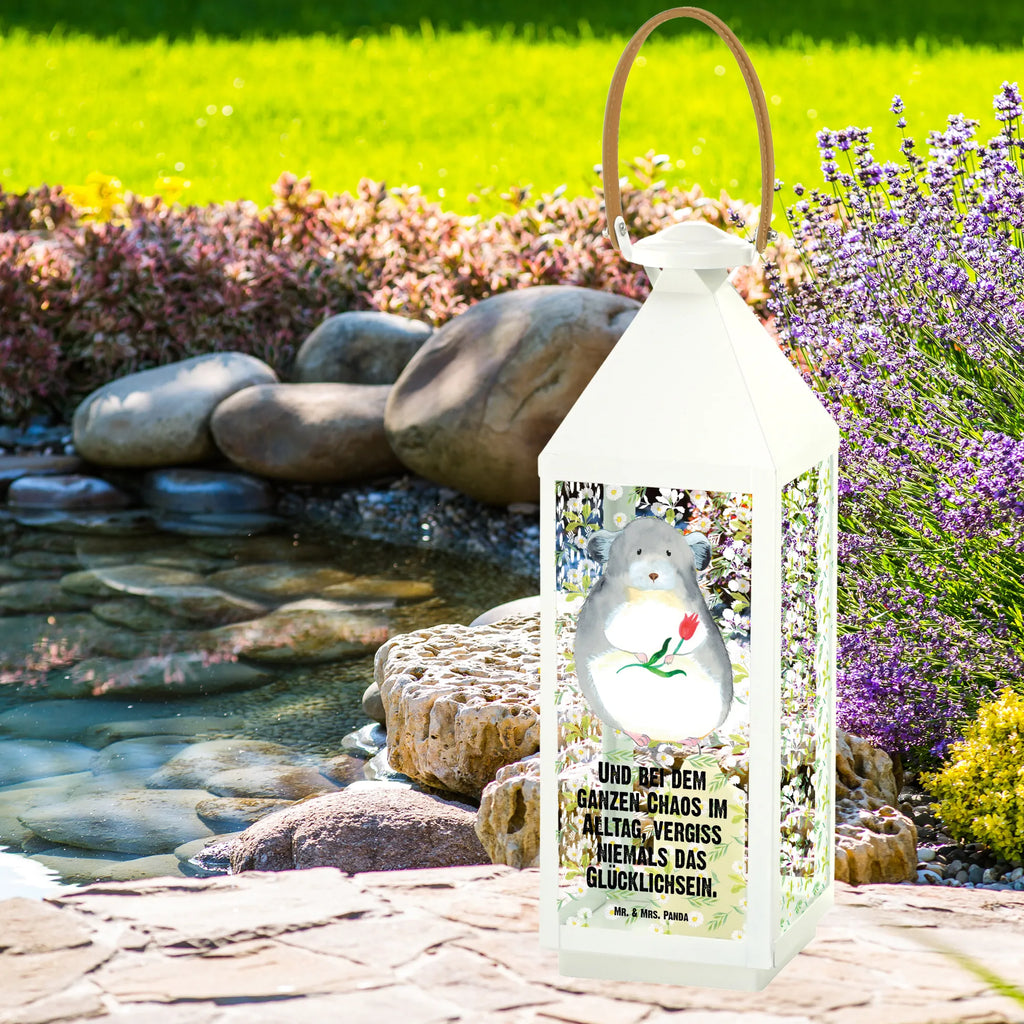 Decorative lantern chinchilla flower Tischlaterne, Kerzenlaterne, Laterne Shabby Chic, Laterne Rustikal, Windlicht, Laterne Minimalistisch, Laterne Romantisch, Laterne Skandinavisch, Laterne Klein, Laterne Maritim, Laternen-Set, Laterne XXL, Laternenwindlicht, Laterne Weiß, Laterne Wind- und Wetterfest, Laterne Spülmaschinenfest (Glas), Metalllaterne, Lichterkettenlaterne, Laterne Zum Stellen, Deko Laterne, Laterne Zum Hängen, Laterne Mit Muster, Hängeleuchte, Innenraum-Laterne, Outdoor-Laterne, Glaslaterne, Laterne Deko, Terrasse-Laterne, Holzlaterne, Lichterlaterne, LED-Laterne, Laterne Beleuchtet, Laterne Landhausstil, Laterne Mit Blumenmotiv, Laterne Vintage, Laterne Klassisch, Laterne Mit Motiv, Metall Laterne, Leuchten, Laternenlicht, Laterne Mit Sternenmuster, Hängelaterne Deko, Dekolaterne, Laterne Modern, Windlichtlaterne, Teelichthalter Laterne, Laterne Pastellfarben, Laterne Orientalisch, Laterne Mit Spiegelglas, Laterne Mit Griff, Gute Laune, Tiermotive, Tiere, Lustige Sprüche, Chaos, Büro, Büroalltag, Liebeskummer, traurig sein, Chinchilla, Kummer, Glücklichsein, Depressionen, Chinchillas