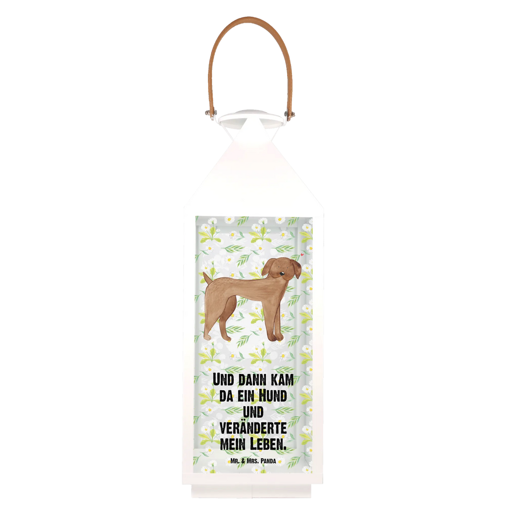 Decorative lantern Dog mastiff Laterne Mit Sternenmuster, Laterne Mit Muster, Windlichtlaterne, Laterne Shabby Chic, Holzlaterne, Innenraum-Laterne, Laterne Mit Spiegelglas, Laterne Landhausstil, Laterne Modern, Glaslaterne, Laterne Romantisch, Laternen-Set, Hängeleuchte, Laterne Spülmaschinenfest (Glas), Laterne Weiß, Kerzenlaterne, Laterne Deko, Leuchten, Laterne Rustikal, Laterne Orientalisch, Laterne Skandinavisch, Laternenwindlicht, Laterne Zum Hängen, Teelichthalter Laterne, Laterne Vintage, Dekolaterne, Laterne Beleuchtet, Laterne XXL, LED-Laterne, Tischlaterne, Laterne Zum Stellen, Laterne Maritim, Laterne Pastellfarben, Laternenlicht, Metalllaterne, Lichterlaterne, Lichterkettenlaterne, Laterne Mit Motiv, Terrasse-Laterne, Windlicht, Laterne Wind- und Wetterfest, Laterne Mit Griff, Metall Laterne, Laterne Klein, Laterne Mit Blumenmotiv, Laterne Klassisch, Laterne Minimalistisch, Deko Laterne, Outdoor-Laterne, Hängelaterne Deko, Sprüche, Hundemotiv, Hundebesitzer, Hund, Tierliebhaber, Hunderasse, Haustier, Dogge, Deutsche Dogge, Great Dane, Hunde