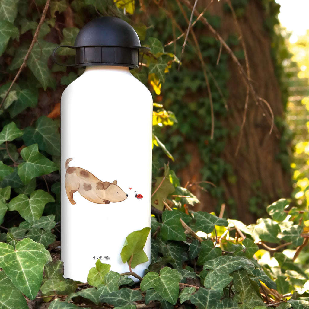 Kids drinks bottle Dog ladybug Thermoflasche, Borosilikatglas Trinkflasche, Trinkflasche Für Reisen, Trinkflasche Für Fahrrad, Auslaufsichere Trinkflasche, Flasche Mit Deckel, Trinkflasche, Aluminium Trinkflasche, Trinkflasche Für Wandern, Trinkflasche Für Schule, Thermo Trinkflasche Doppelwandig, Leichte Flasche, Edelstahl Trinkflasche, Outdoorflasche, Trinkflasche Für Erwachsene, Trinkflasche Für Alltag, Thermosflasche, Trinkflasche Für Büro, Umweltfreundliche Trinkflasche, Spülmaschinenfeste Trinkflasche, Trinkflasche Für Damen, Trinkflasche Für Herren, BPA-freie Flasche, Glas Trinkflasche, Trinkflasche Für Unterwegs, Trinkflasche Mit Strohhalm, Trinkflasche Für Kinder, Isolierflasche, Fahrradflasche, Wasserflasche, Trinkflasche Mit Filter, Wiederverwendbare Flasche, Nachhaltige Trinkflasche, Getränkeflasche, Trinkbehälter, Flasche To Go, Kunststoff Trinkflasche, Sportflasche, Fitnessflasche, Hund, Hundemotiv, Haustier, Hunderasse, Tierliebhaber, Hundebesitzer, Sprüche, Mischlinghund, Hundespruch, Marienkäfer, Mischling, Hunde