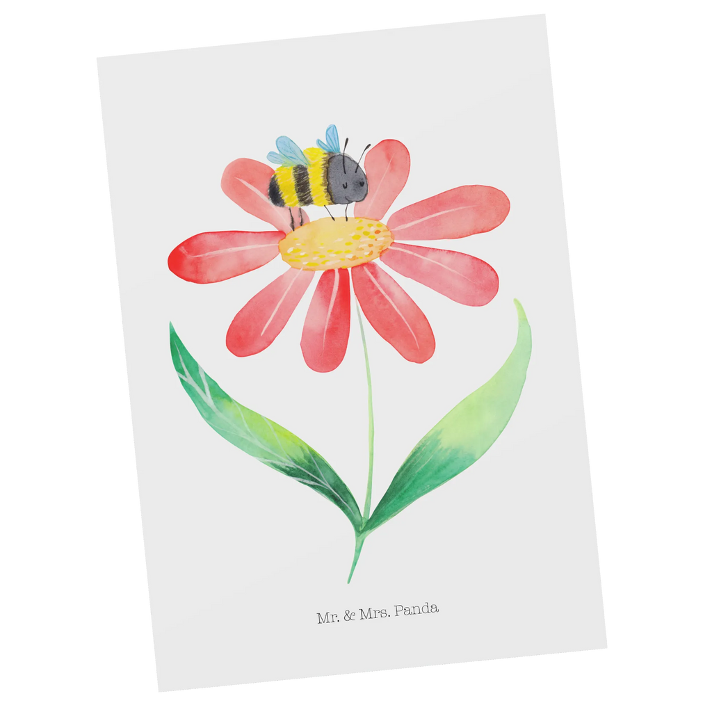 Postcard bumblebee flower Ansichtskarten, Designkarte, kunstkarte, Postkarte, Motivkarte, Kunstkarten, einzelkarte, spruchkarte, bildkarte, Fotokarte, Grußkarte, Postkarten, Ansichtskarte, Tiere, Tiermotive, Lustige Sprüche, Gute Laune, Natur, Biene, Hummeln, Hummel, Feld, Flauschig, Wespe, Blume