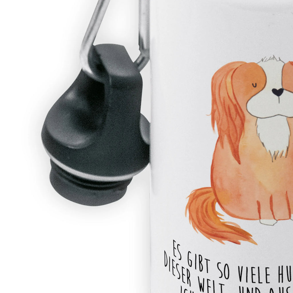 Kindertrinkflasche Cavalier King Charles Spaniel Thermo Trinkflasche Doppelwandig, Wasserflasche, Trinkflasche Mit Strohhalm, Borosilikatglas Trinkflasche, Fitnessflasche, Glas Trinkflasche, Trinkflasche Für Kinder, Trinkflasche Für Erwachsene, Trinkflasche Für Unterwegs, Trinkbehälter, Isolierflasche, Trinkflasche Für Reisen, Getränkeflasche, Flasche To Go, Trinkflasche Mit Filter, Nachhaltige Trinkflasche, Flasche Mit Deckel, Umweltfreundliche Trinkflasche, Edelstahl Trinkflasche, Trinkflasche Für Herren, Aluminium Trinkflasche, Outdoorflasche, Leichte Flasche, Kunststoff Trinkflasche, Trinkflasche Für Fahrrad, Fahrradflasche, Wiederverwendbare Flasche, Trinkflasche Für Alltag, Thermosflasche, Trinkflasche Für Büro, Trinkflasche, BPA-freie Flasche, Trinkflasche Für Wandern, Spülmaschinenfeste Trinkflasche, Thermoflasche, Auslaufsichere Trinkflasche, Sportflasche, Trinkflasche Für Damen, Trinkflasche Für Schule, Hund, Hundemotiv, Haustier, Hunderasse, Tierliebhaber, Hundebesitzer, Sprüche, Spaniel, schönster Hund, Cockerspaniel, Cavalier King Charles Spaniel, Spruch