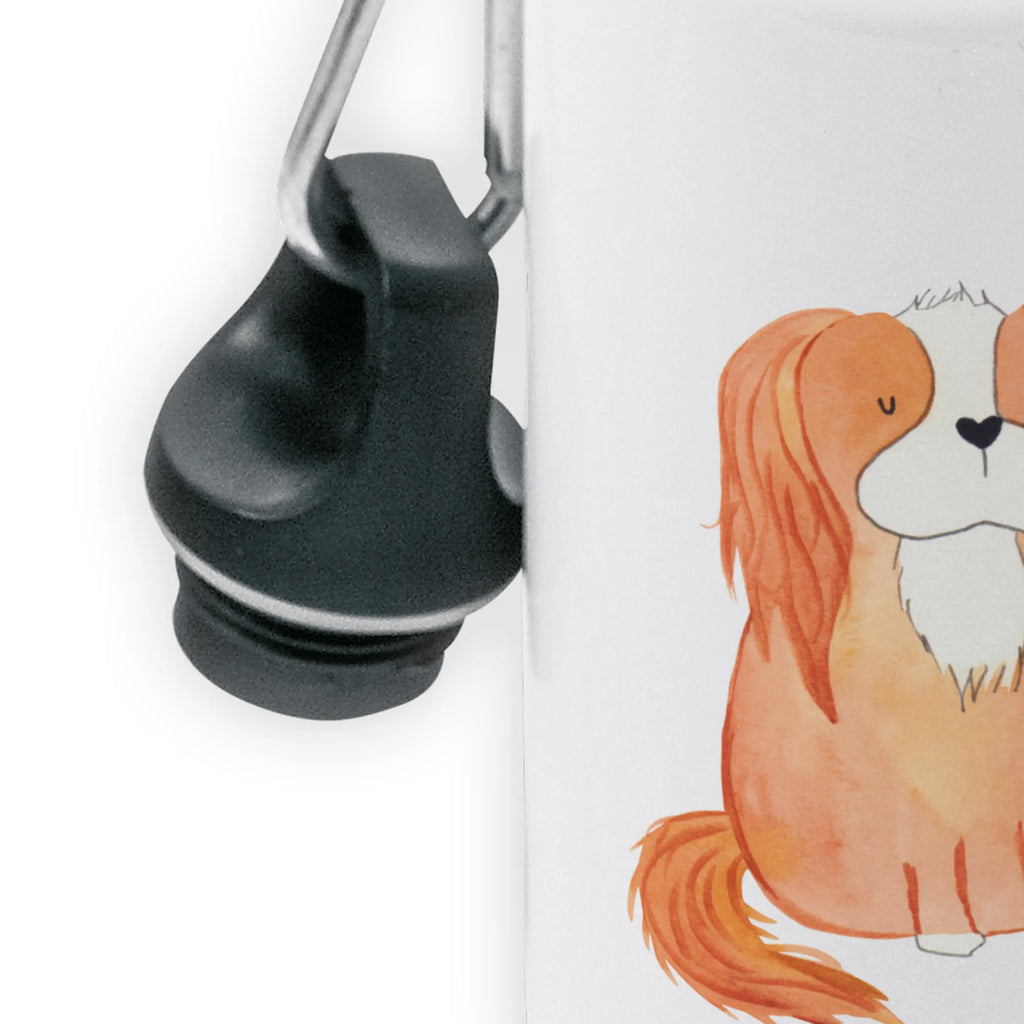 Kindertrinkflasche Cavalier King Charles Spaniel Thermo Trinkflasche Doppelwandig, Wasserflasche, Trinkflasche Mit Strohhalm, Borosilikatglas Trinkflasche, Fitnessflasche, Glas Trinkflasche, Trinkflasche Für Kinder, Trinkflasche Für Erwachsene, Trinkflasche Für Unterwegs, Trinkbehälter, Isolierflasche, Trinkflasche Für Reisen, Getränkeflasche, Flasche To Go, Trinkflasche Mit Filter, Nachhaltige Trinkflasche, Flasche Mit Deckel, Umweltfreundliche Trinkflasche, Edelstahl Trinkflasche, Trinkflasche Für Herren, Aluminium Trinkflasche, Outdoorflasche, Leichte Flasche, Kunststoff Trinkflasche, Trinkflasche Für Fahrrad, Fahrradflasche, Wiederverwendbare Flasche, Trinkflasche Für Alltag, Thermosflasche, Trinkflasche Für Büro, Trinkflasche, BPA-freie Flasche, Trinkflasche Für Wandern, Spülmaschinenfeste Trinkflasche, Thermoflasche, Auslaufsichere Trinkflasche, Sportflasche, Trinkflasche Für Damen, Trinkflasche Für Schule, Hund, Hundemotiv, Haustier, Hunderasse, Tierliebhaber, Hundebesitzer, Sprüche, Spaniel, schönster Hund, Cockerspaniel, Cavalier King Charles Spaniel, Spruch