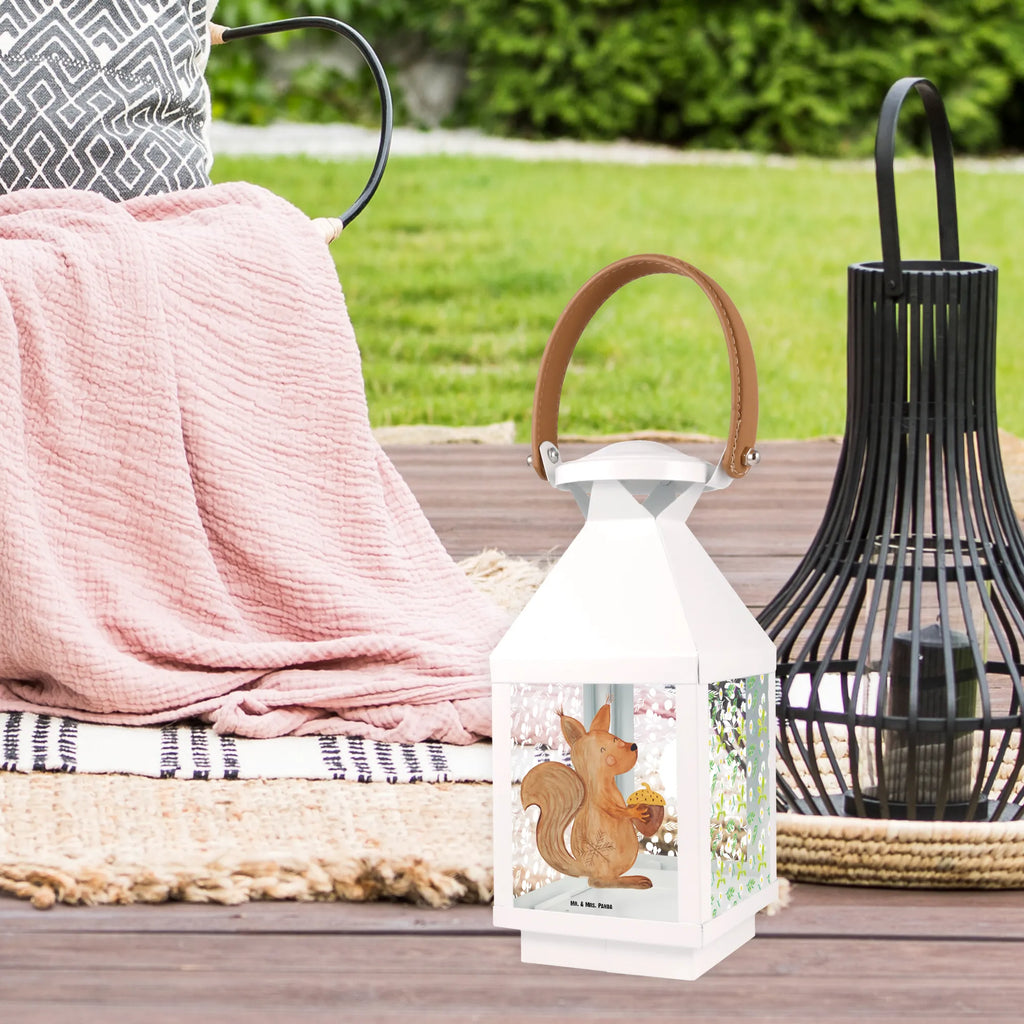 Decorative lantern Squirrel Christmas time Winter, Christmas, Christmas time, snow, Merry Christmas, Christmas Greeting, New Year, Happy New Year, Christmas Theme, Xmas, Bird