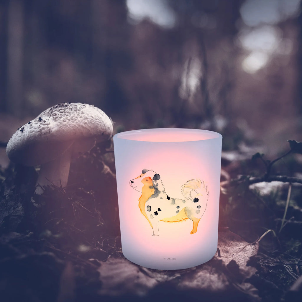Lantern Dog Australia Shepherd tealight holder, glass tealight, Wind light, dog, mutt, hound, woof, dog mama, dog breed, love dogs, love for dogs, dog decorative items, bag with dog print, funny gifts for dog owners, what do you give a dog lover, Christmas gifts for dogs, gifts for dogs, dog sayings, Sayings, Family dog, Shepherd, Saying, Dog, Dog love, Australia Shepherd