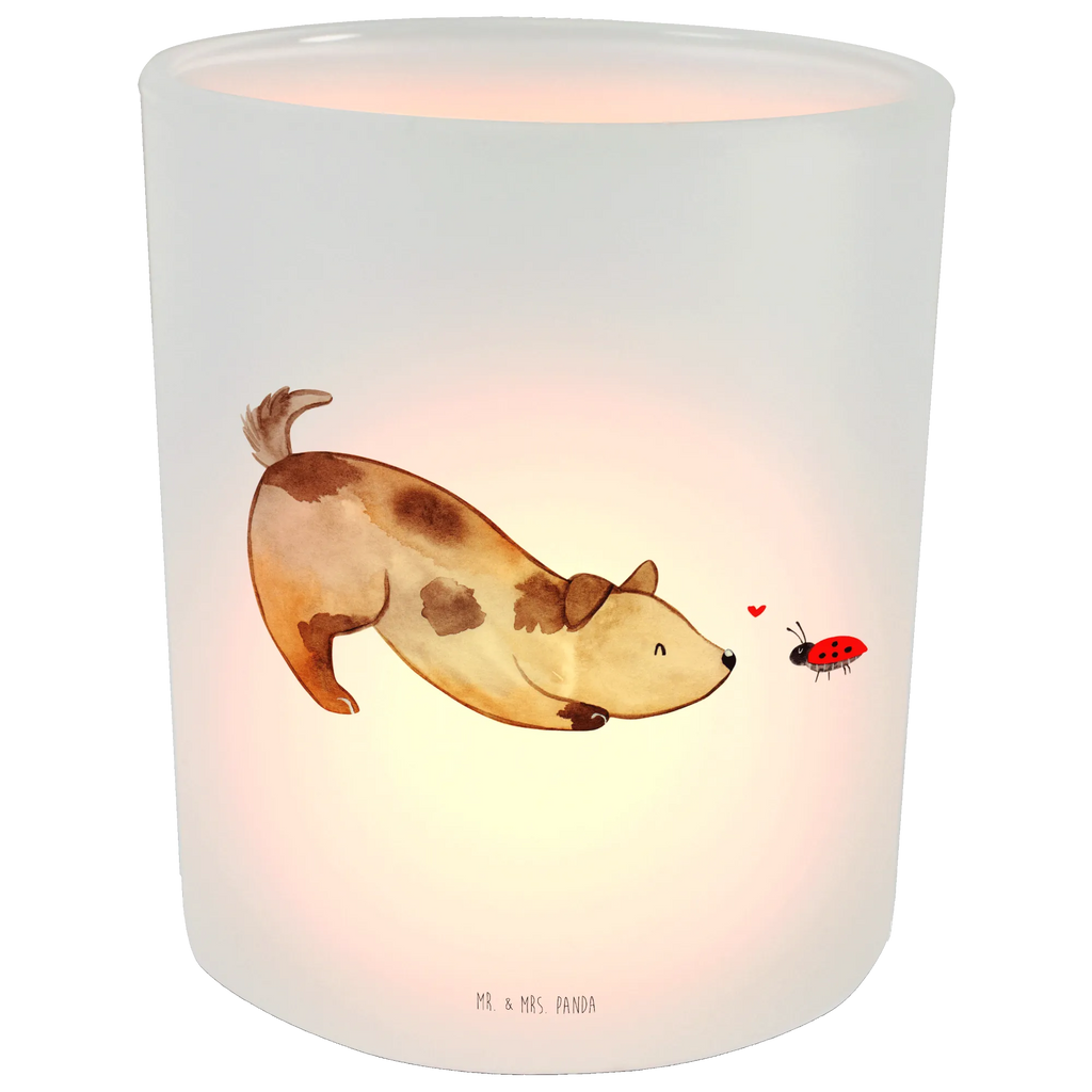 Latarenka pies biedronka Pies, motyw psa, zwierzę domowe, rasa psa, miłośnik zwierząt, właściciel psa, powiedzenia