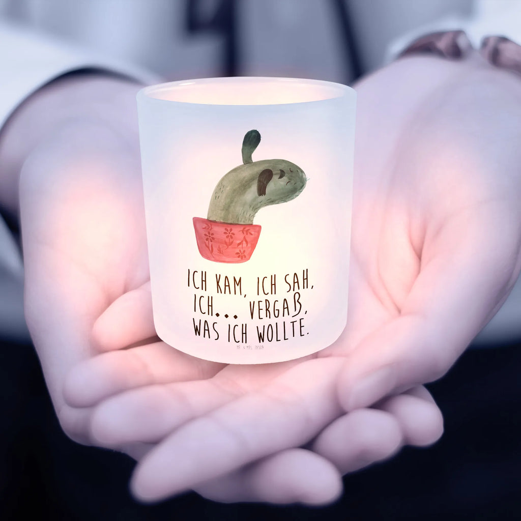 Latarenka kaktus Mama Kaktus, Kaktusy