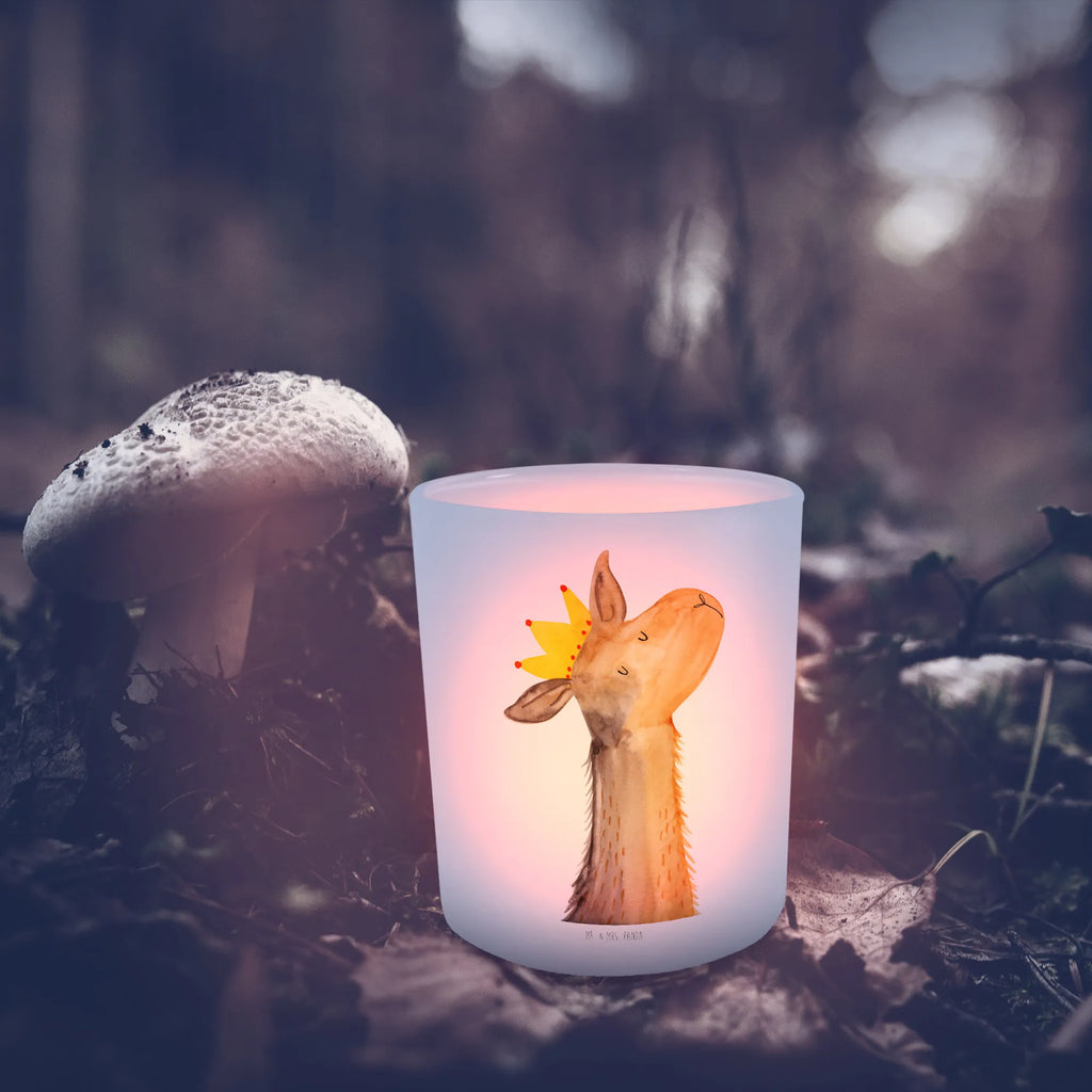 Lantern llama head king Wind light, tealight holder, glass tealight, Llama, llama, alpaca, trendy animal, lamas, king, office colleague, queen, lama, colleague, girlfriend, supervisor, high school graduation, boss, dad, mum