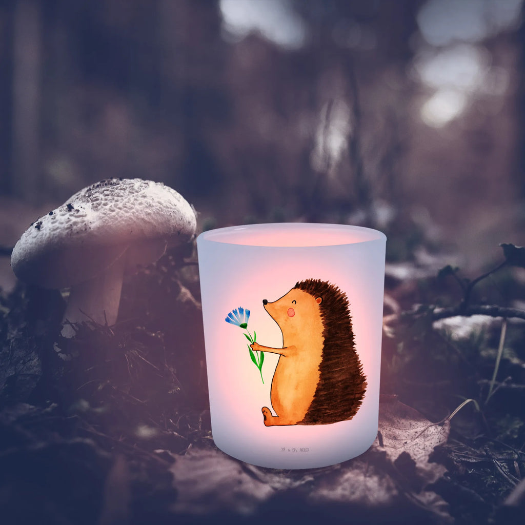 Lantern Hedgehog Flower Windlicht Skandinavisch, Windlicht Outdoor, Teelichthalter, Teelicht Glas, Windlicht Klein, Windlicht Garten, Windlicht Für Draußen, Windlicht Terrasse, Teelichthalter Outdoor, Windlicht, Windlicht Modern, Windlicht Boho, Windlichter, Windlicht Nachhaltig, Teelichthalter für draußen, Windlicht Romantisch, Windlicht Geschenk, Windlicht Draußen, Windlicht Vintage, Windlicht Handgemacht, Windlicht Design, Windlicht Glas, Windlicht Dekoration, Windlicht Laterne, Windlicht Kerzenhalter, Windlicht Balkon, Windlicht Wohnzimmer, Windlicht Groß, Tiermotive, Gute Laune, lustige Sprüche, Tiere, Besuch, Igel, Krankheit, Gute Besserung, krank, Krankenhaus, Genesungswünsche