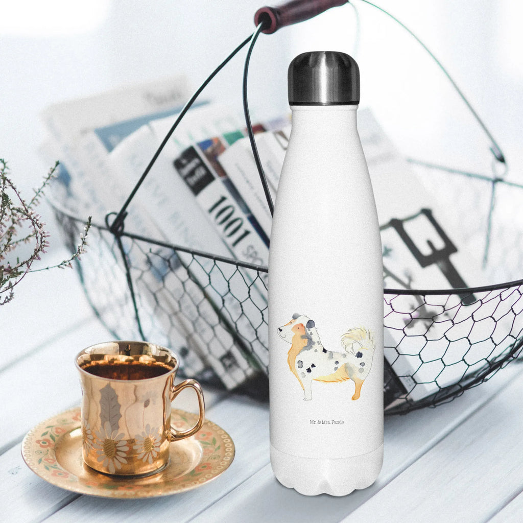 Insulated bottle Dog Australia Shepherd Thermos bottles, Thermos bottle, stainless steel, Thermos, Thermos bottle 500ml, dog, mutt, hound, woof, dog mama, dog breed, love dogs, love for dogs, dog decorative items, bag with dog print, funny gifts for dog owners, what do you give a dog lover, Christmas gifts for dogs, gifts for dogs, dog sayings, Australia Shepherd, Saying, Shepherd, Dog, Sayings, Family dog, Dog love