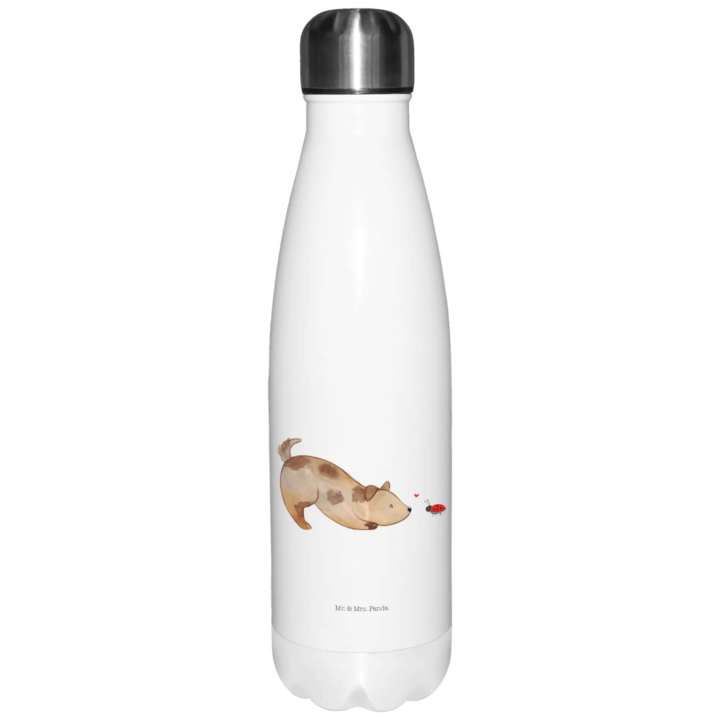 Insulated bottle Dog ladybug Sommergetränk, Thermosflasche, Thermosflasche Für Outdoor, Auslaufsichere Thermosflasche, Thermosflasche Für Büro, Thermosflasche Für Sport, Thermosflasche Für Tee, Vakuumflasche, Thermosflasche Damen, Thermosflasche Mit Drehverschluss, Thermosflasche Modern, Spülmaschinenfeste Thermosflasche, Warmhalteflasche, Edelstahlflasche, Thermosflasche 750ml, Thermosflasche Für Kaffee, Isolierflasche Kaltgetränke, Robuste Thermosflasche, Sommerflasche, Thermosflasche Herren, Trinkflasche Isoliert, Umweltfreundliche Thermosflasche, Thermosflasche Für Schule, Thermosflasche Nachhaltig, Thermosflasche Wandern, Flasche, Thermoflasche Edelstahl, Thermosflasche Für Wasser, Thermosflasche Mit Trinkverschluss, Thermoskanne Unterwegs, Thermos, Leichte Thermosflasche, Thermosflasche 500ml, Thermosflasche Klassisch, Thermoflasche, Thermosflasche 1 Liter, Thermosflasche Kinder, Thermosflasche Für Unterwegs, Thermosflasche BPA-Frei, Kalthalteflasche, Isolierflasche Heißgetränke, Thermosflasche Reisen, Isolierkanne, Thermosflasche Outdoor, Doppelwandige Trinkflasche, Flasche für Kohlensäure, Isolierflasche, Hund, Hundemotiv, Haustier, Hunderasse, Tierliebhaber, Hundebesitzer, Sprüche, Hundespruch, Hunde, Marienkäfer, Mischling, Mischlinghund