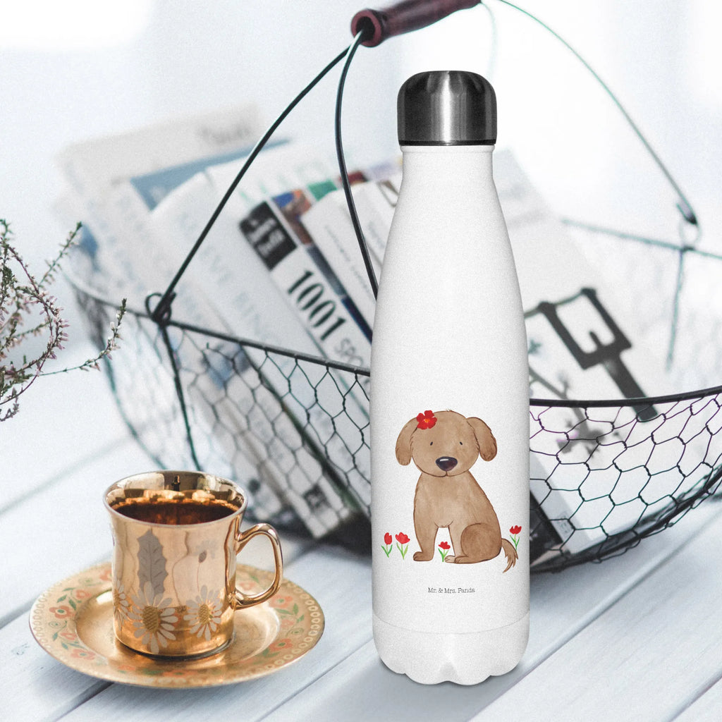 Insulated bottle Dog lady Thermosflasche Damen, Thermosflasche Nachhaltig, Thermosflasche 500ml, Thermosflasche Für Sport, Vakuumflasche, Thermosflasche Outdoor, Sommerflasche, Thermoskanne Unterwegs, Thermosflasche Kinder, Thermosflasche Mit Trinkverschluss, Thermosflasche Klassisch, Thermosflasche Modern, Thermosflasche Mit Drehverschluss, Thermosflasche Für Schule, Thermosflasche Für Kaffee, Edelstahlflasche, Thermosflasche BPA-Frei, Spülmaschinenfeste Thermosflasche, Thermoflasche, Isolierkanne, Umweltfreundliche Thermosflasche, Trinkflasche Isoliert, Thermosflasche Für Tee, Isolierflasche Kaltgetränke, Thermosflasche, Warmhalteflasche, Thermos, Thermosflasche Reisen, Thermosflasche 1 Liter, Auslaufsichere Thermosflasche, Thermosflasche Herren, Thermosflasche Für Outdoor, Doppelwandige Trinkflasche, Isolierflasche, Sommergetränk, Thermosflasche Für Unterwegs, Flasche für Kohlensäure, Kalthalteflasche, Leichte Thermosflasche, Flasche, Thermosflasche 750ml, Isolierflasche Heißgetränke, Robuste Thermosflasche, Thermoflasche Edelstahl, Thermosflasche Für Wasser, Thermosflasche Für Büro, Thermosflasche Wandern, Hund, Hundemotiv, Haustier, Hunderasse, Tierliebhaber, Hundebesitzer, Sprüche, Liebe, Hundeglück, Frauchen, Hunde, Hundeliebe