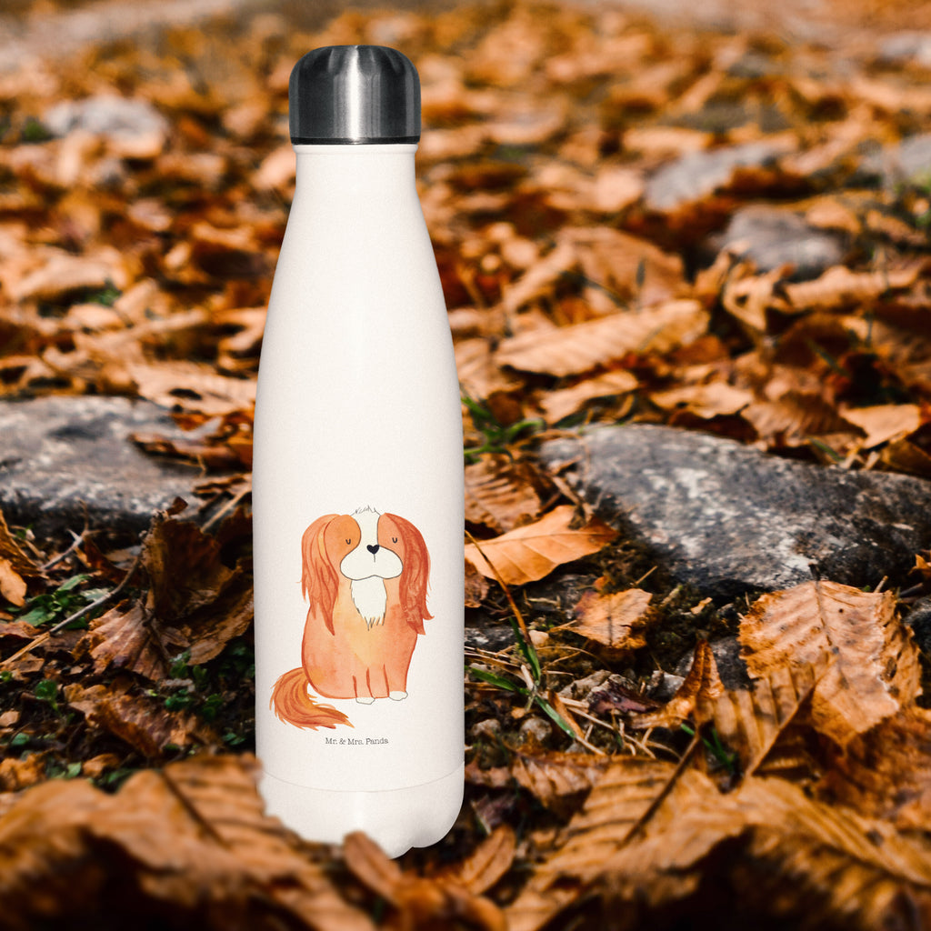 Butelka termiczna pies Cavalier King Charles Spaniel Thermosflasche 500ml, Flasche, Thermos, Thermosflasche 1 Liter, Thermosflasche BPA-Frei, Thermosflasche Für Schule, Isolierflasche Heißgetränke, Isolierflasche Kaltgetränke, Isolierkanne, Thermoflasche, Isolierflasche, Thermosflasche 750ml, Umweltfreundliche Thermosflasche, Thermosflasche Für Kaffee, Flasche für Kohlensäure, Thermosflasche Klassisch, Thermosflasche Wandern, Thermosflasche Outdoor, Thermosflasche Für Sport, Thermosflasche Nachhaltig, Thermosflasche Für Wasser, Thermosflasche Mit Trinkverschluss, Spülmaschinenfeste Thermosflasche, Thermosflasche Damen, Thermosflasche Mit Drehverschluss, Thermosflasche Kinder, Thermosflasche Modern, Sommergetränk, Vakuumflasche, Thermosflasche Für Büro, Thermosflasche Für Outdoor, Leichte Thermosflasche, Thermosflasche, Thermoflasche Edelstahl, Sommerflasche, Thermosflasche Für Tee, Thermosflasche Reisen, Thermosflasche Für Unterwegs, Auslaufsichere Thermosflasche, Thermoskanne Unterwegs, Robuste Thermosflasche, Warmhalteflasche, Edelstahlflasche, Kalthalteflasche, Trinkflasche Isoliert, Thermosflasche Herren, Doppelwandige Trinkflasche, Hund, Hundemotiv, Haustier, Hunderasse, Tierliebhaber, Hundebesitzer, Sprüche, schönster Hund, Spaniel, Spruch, Cavalier King Charles Spaniel, Cockerspaniel