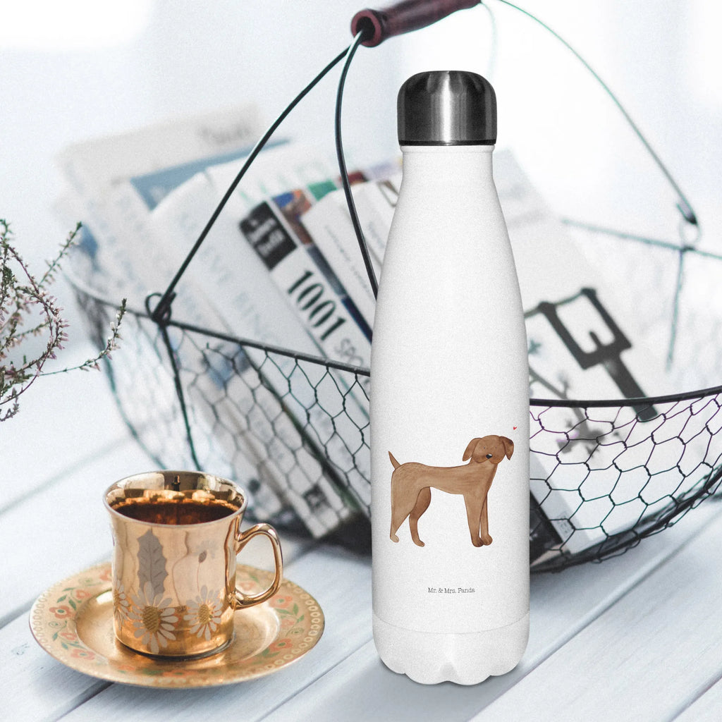 Insulated bottle Dog mastiff Thermosflasche, Wasserflasche, isolierflaschen, Trinkflasche, Edelstahlflasche, reiseflasche, thermobottle, isolierbehälter, Trinkbehälter, metallflasche, Edelstahl Trinkflasche, Thermos, edelstahl wasserflasche, Thermoflasche Edelstahl, Trinkgefäß, Outdoorflasche, edelstahl isolierflasche, Isolierflasche, thermosflaschen, thermobehälter, wanderflasche, Getränkeflasche, flasche aus edelstahl, trinkflaschen, Vakuumflasche, Trinkflasche Isoliert, isolier trinkflasche, Thermoflasche, thermo trinkflasche, Sprüche, Hund, Hunderasse, Hundebesitzer, Hundemotiv, Haustier, Tierliebhaber, Hunde, Deutsche Dogge, Great Dane, Dogge