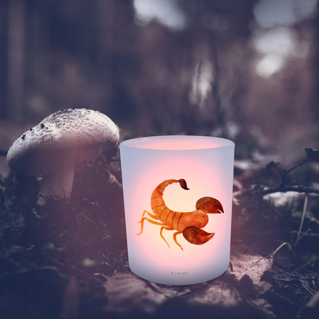 Latarenka znak zodiaku Skorpion Znak zodiaku, gwiazdozbiór, horoskop, astrologia, ascendent