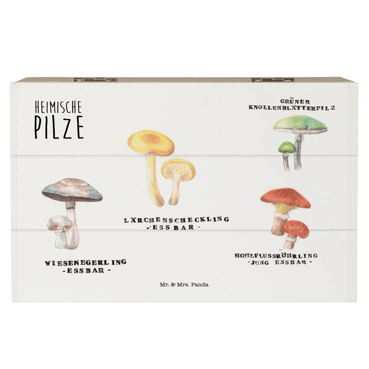 Skrzynia drewniana Rodzime grzyby natura, dekoracja, na zewnątrz, pozytywna wiadomość, Dekoracje kwiatowe, przygoda, dekoracje wiosenne, miłośnik natury, dekoracje letnie