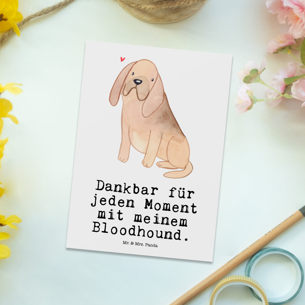 Postkarte Bloodhound Moment Postkarte, Karte, Geschenkkarte, Grußkarte, Einladung, Ansichtskarte, Geburtstagskarte, Einladungskarte, Dankeskarte, Hund, Hunderasse, Rassehund, Hundebesitzer, Geschenk, Tierfreund, Schenken, Welpe, Bluthund, Bloodhound, St. Hubertushund, Chien de Saint Hubert
