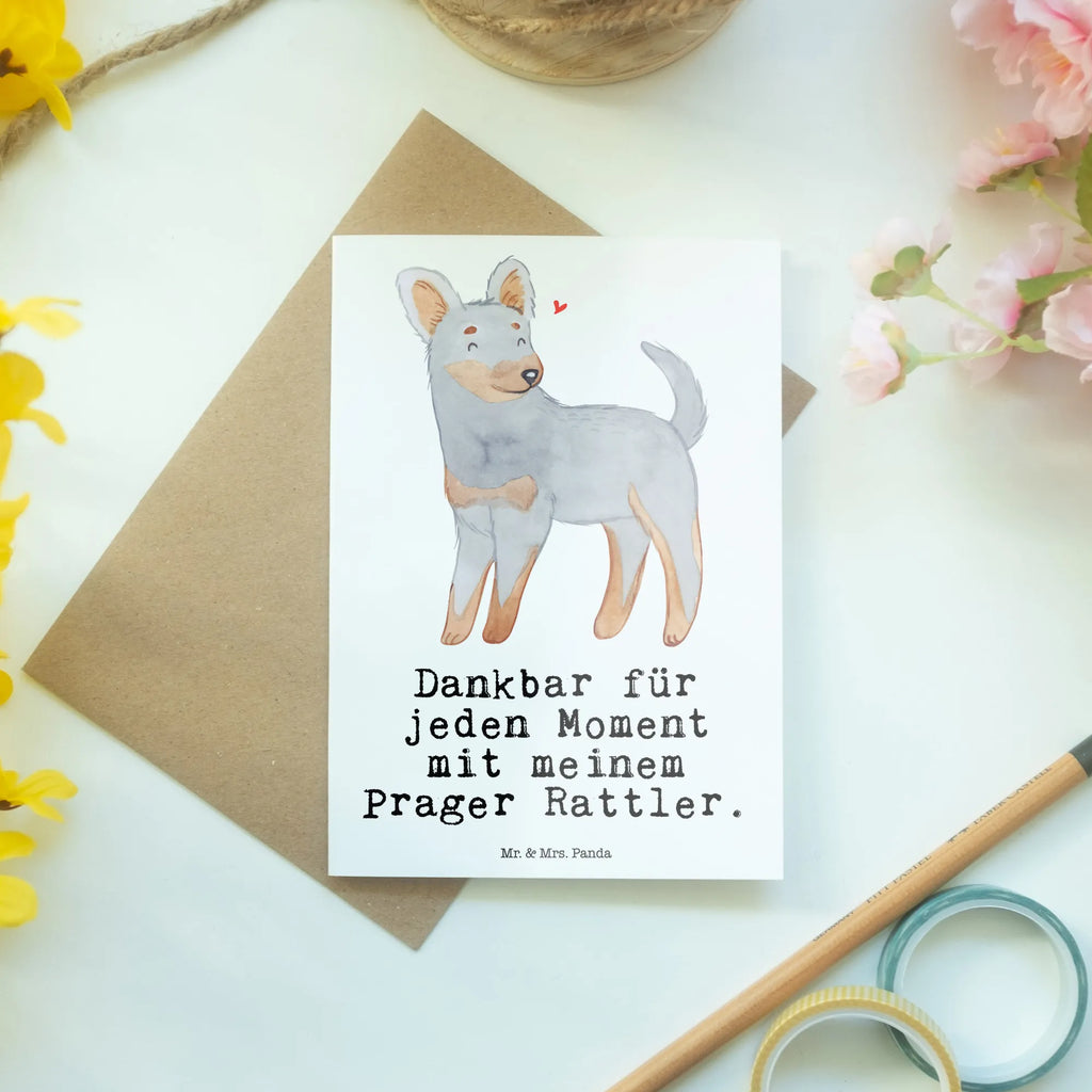 Grußkarte Prager Rattler Moment Einladungskarte, Grußkarte, Hochzeitskarte, Klappkarte, Glückwunschkarte, Karte, Geburtstagskarte, Ansichtskarten, Hund, Hunderasse, Rassehund, Hundebesitzer, Geschenk, Tierfreund, Schenken, Welpe, Pincher, Prager Rattler