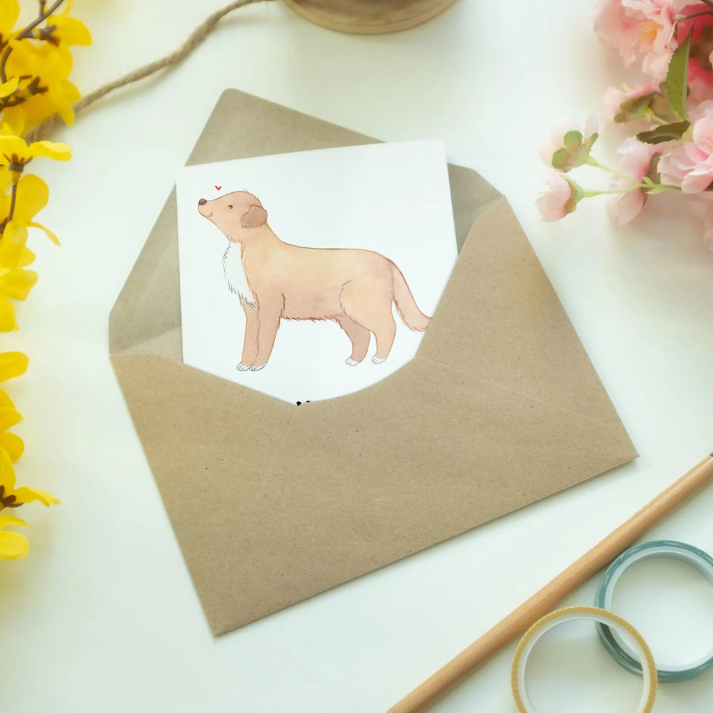 Greetings card Nova Scotia Duck Lifesaver invitation card, greeting card, folding card, birthday card, wedding card, Dog, dog breed, purebred dog, dog owner, gift, animal lover, giving, puppy